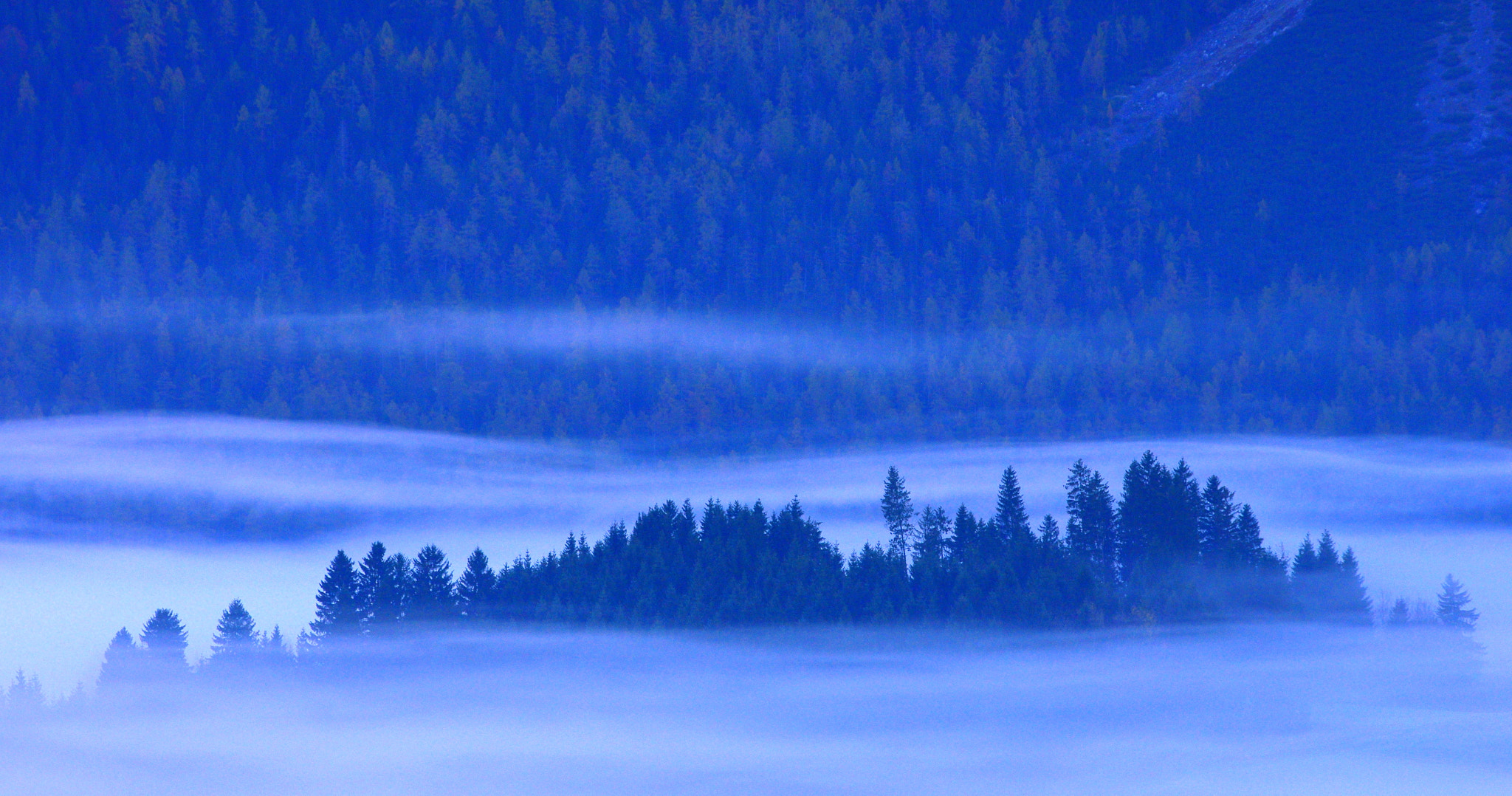 Pentax K-5 sample photo. Hill with spruce trees in the morning fog photography