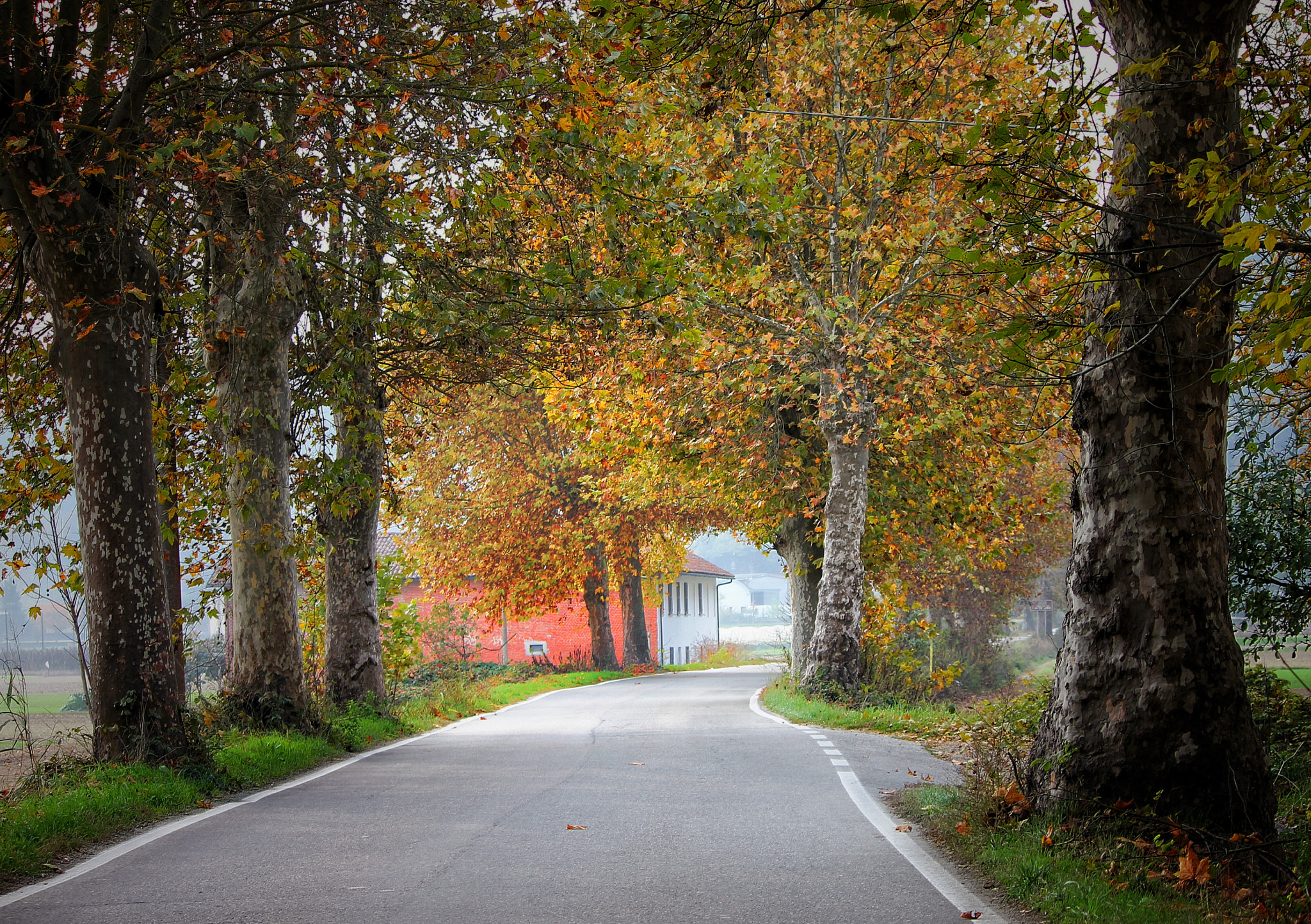 Canon EF-S 55-250mm F4-5.6 IS II sample photo. Autunno per strada photography