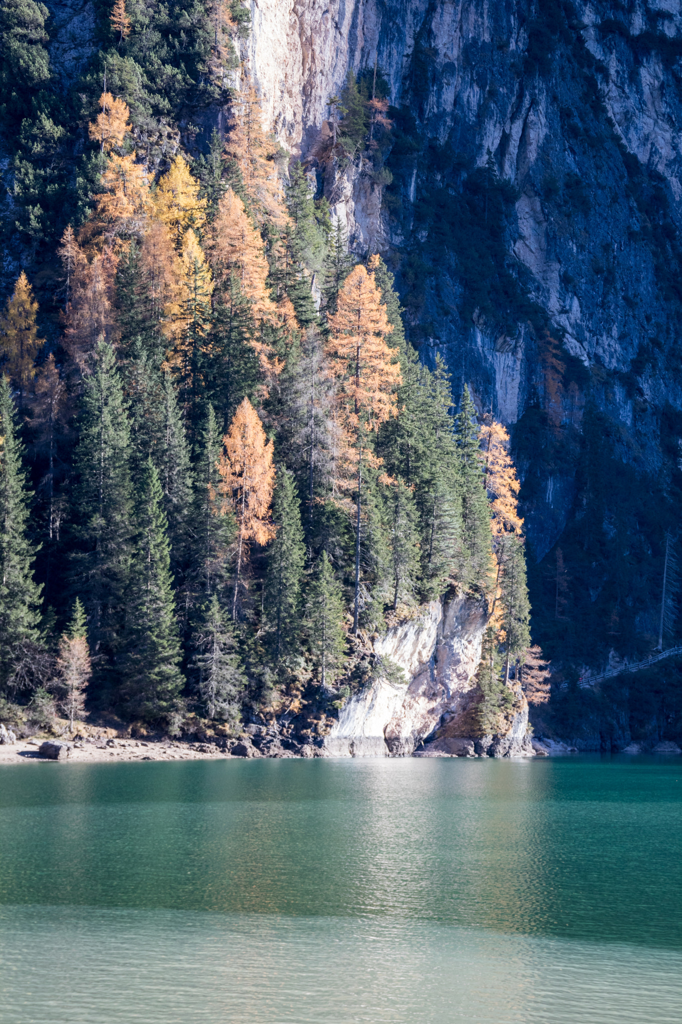 Canon EOS 760D (EOS Rebel T6s / EOS 8000D) sample photo. Autumn in pragser wildsee photography