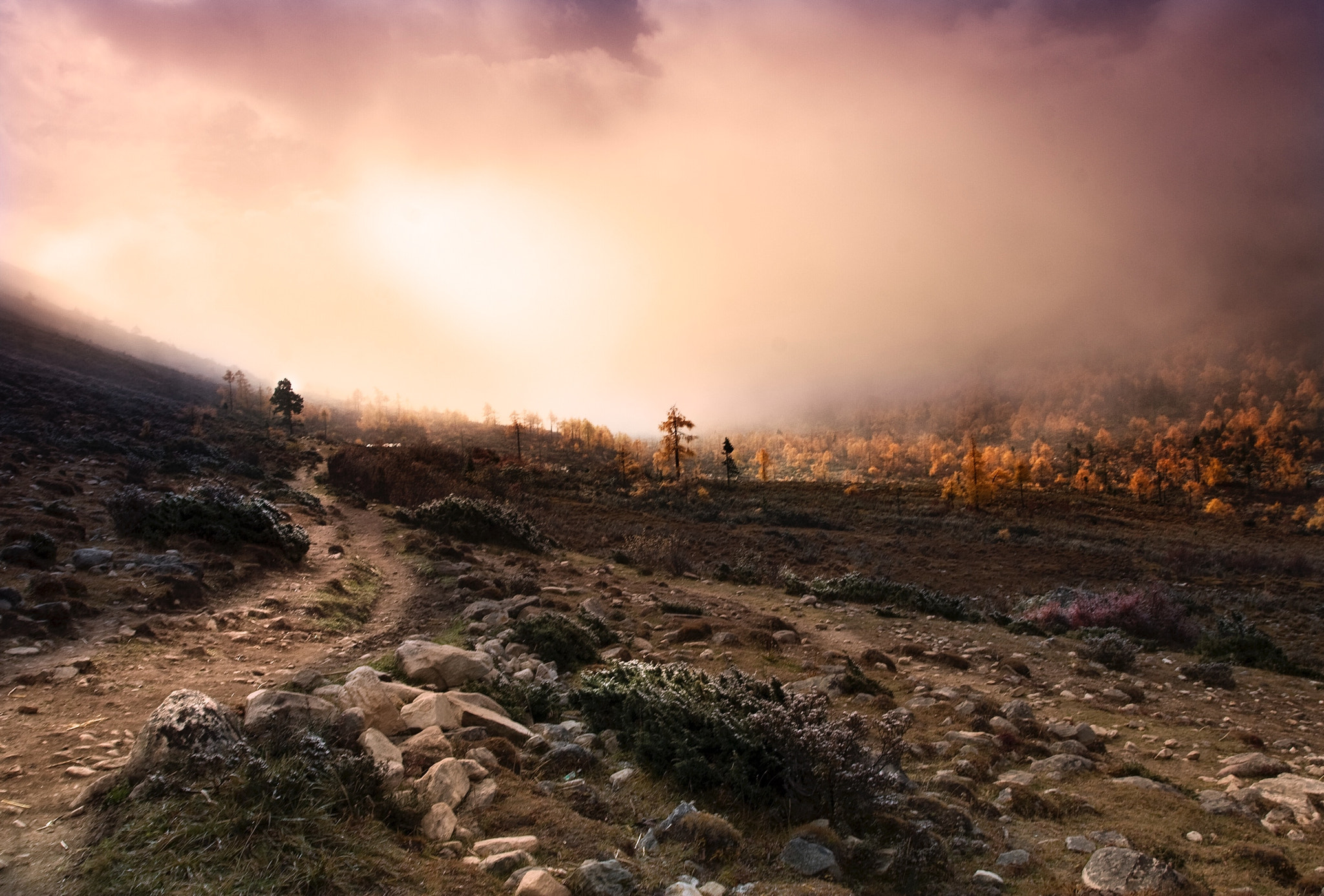 Canon EOS 30D + Canon EF 17-40mm F4L USM sample photo. Valley of the morning （mogecuo，kangding，china） photography