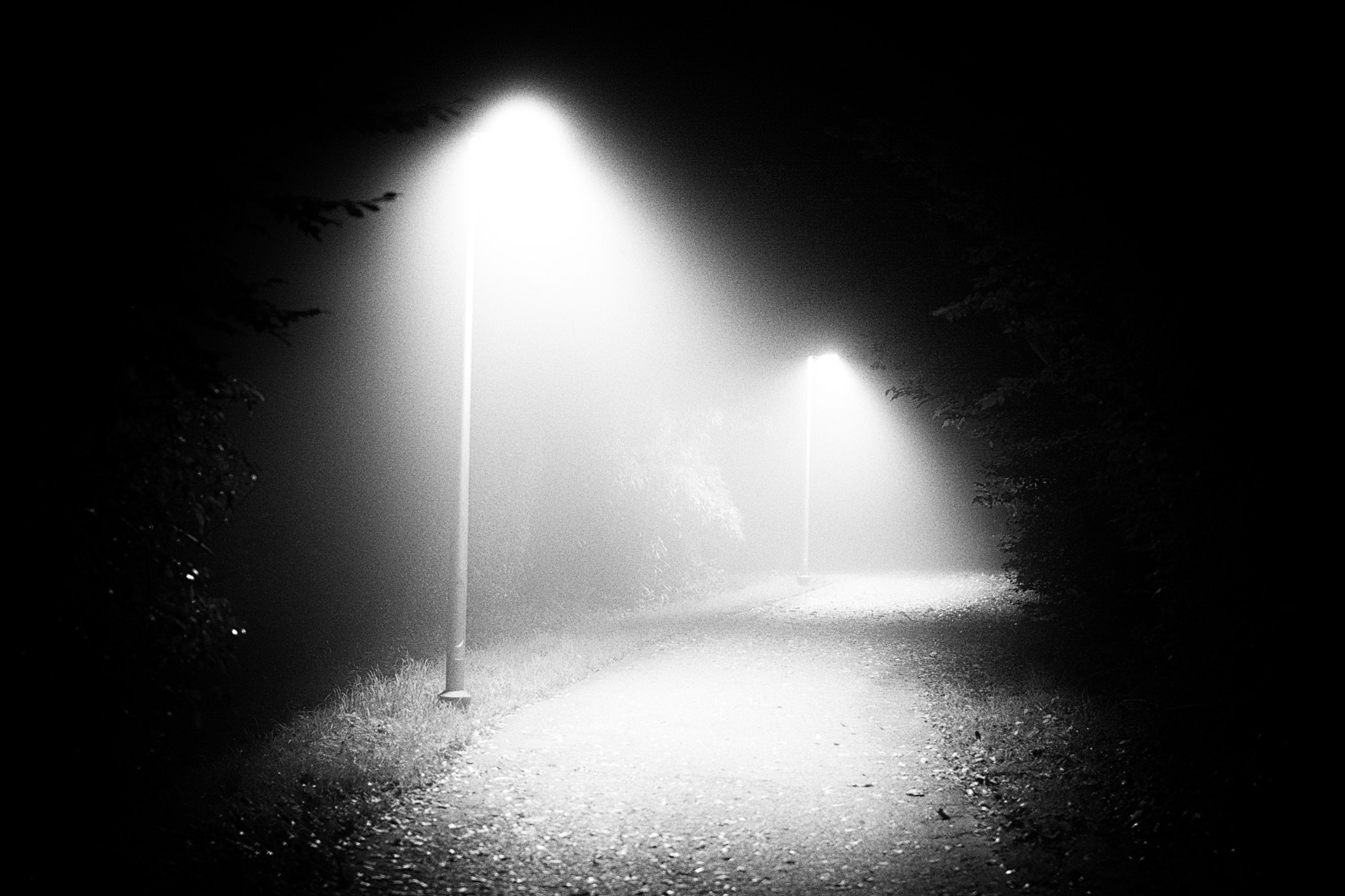 Nikon D7100 + Sigma 50mm F1.4 EX DG HSM sample photo. Step into the unknown photography