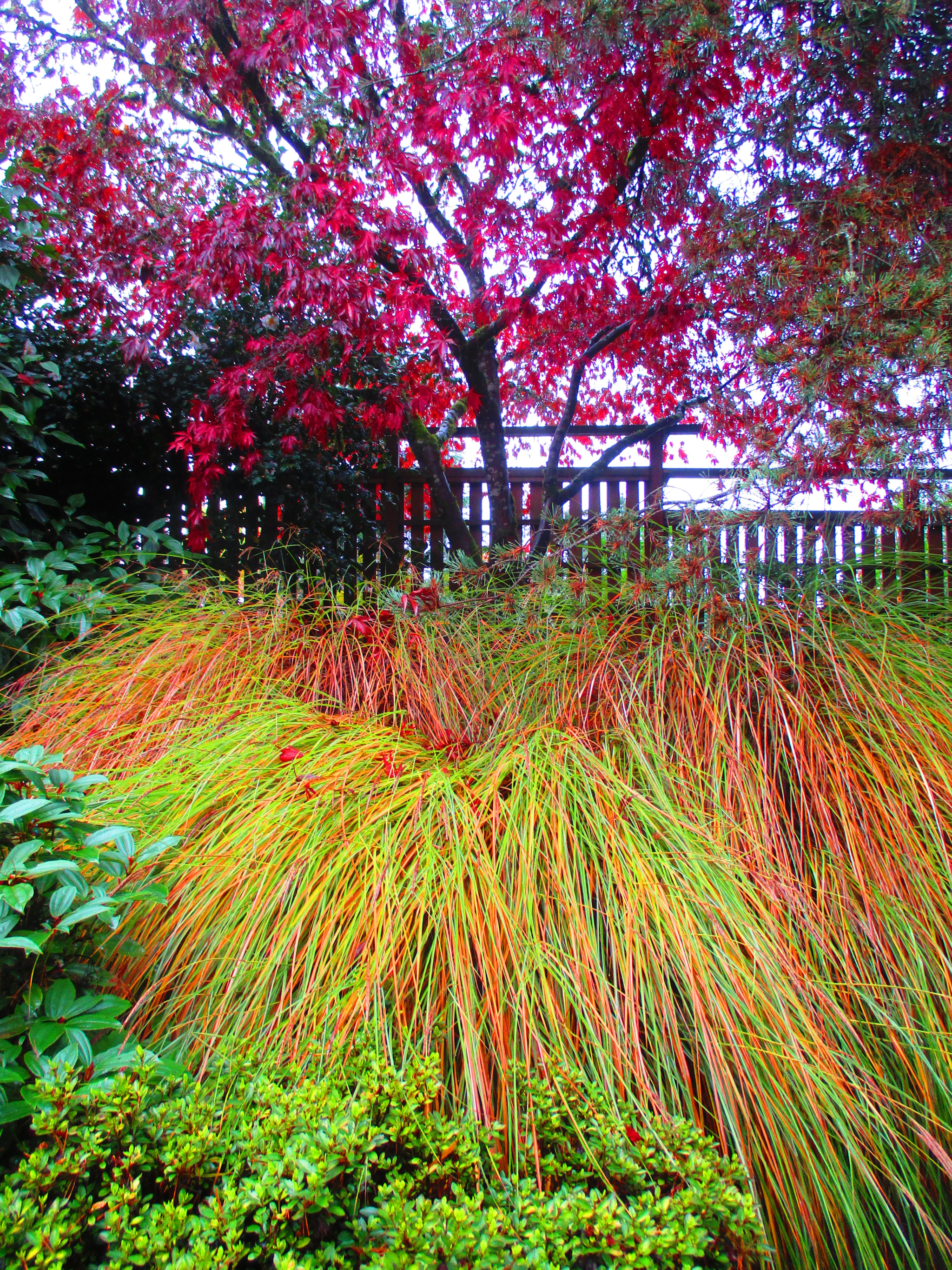Canon PowerShot ELPH 180 (IXUS 175 / IXY 180) sample photo. Img photography