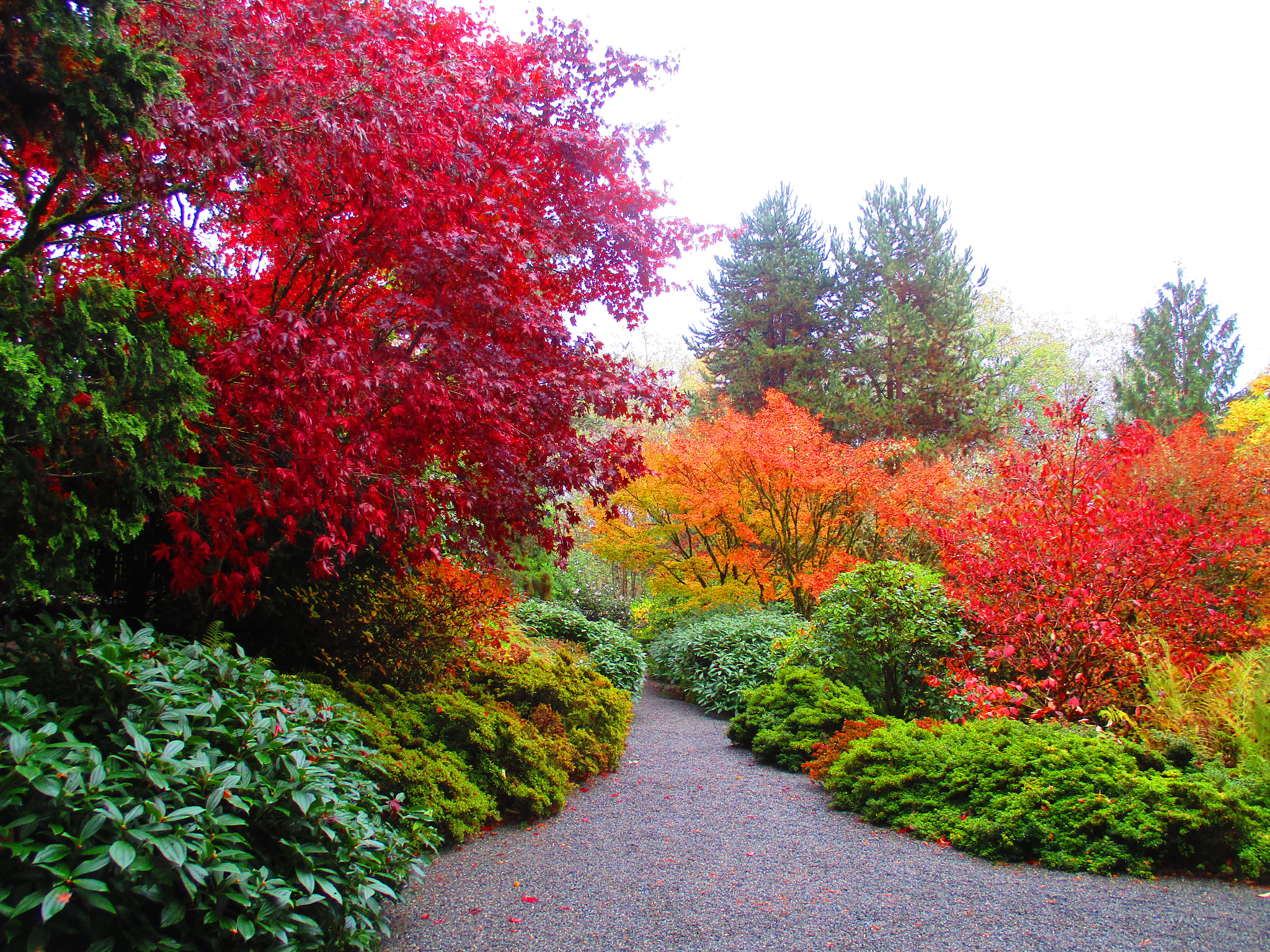Canon PowerShot ELPH 180 (IXUS 175 / IXY 180) sample photo. Img photography