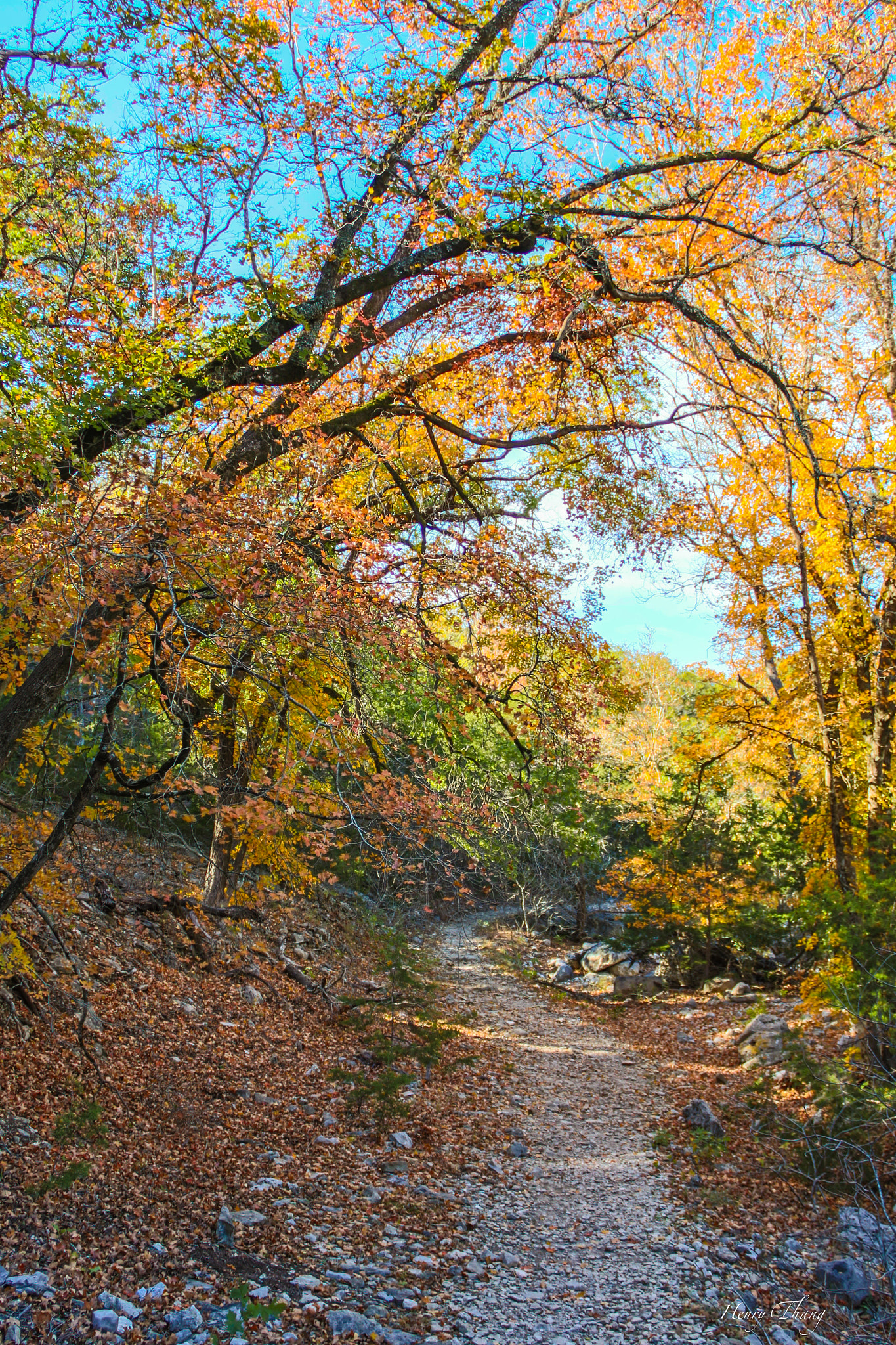 Canon EOS 700D (EOS Rebel T5i / EOS Kiss X7i) sample photo. Fall photography
