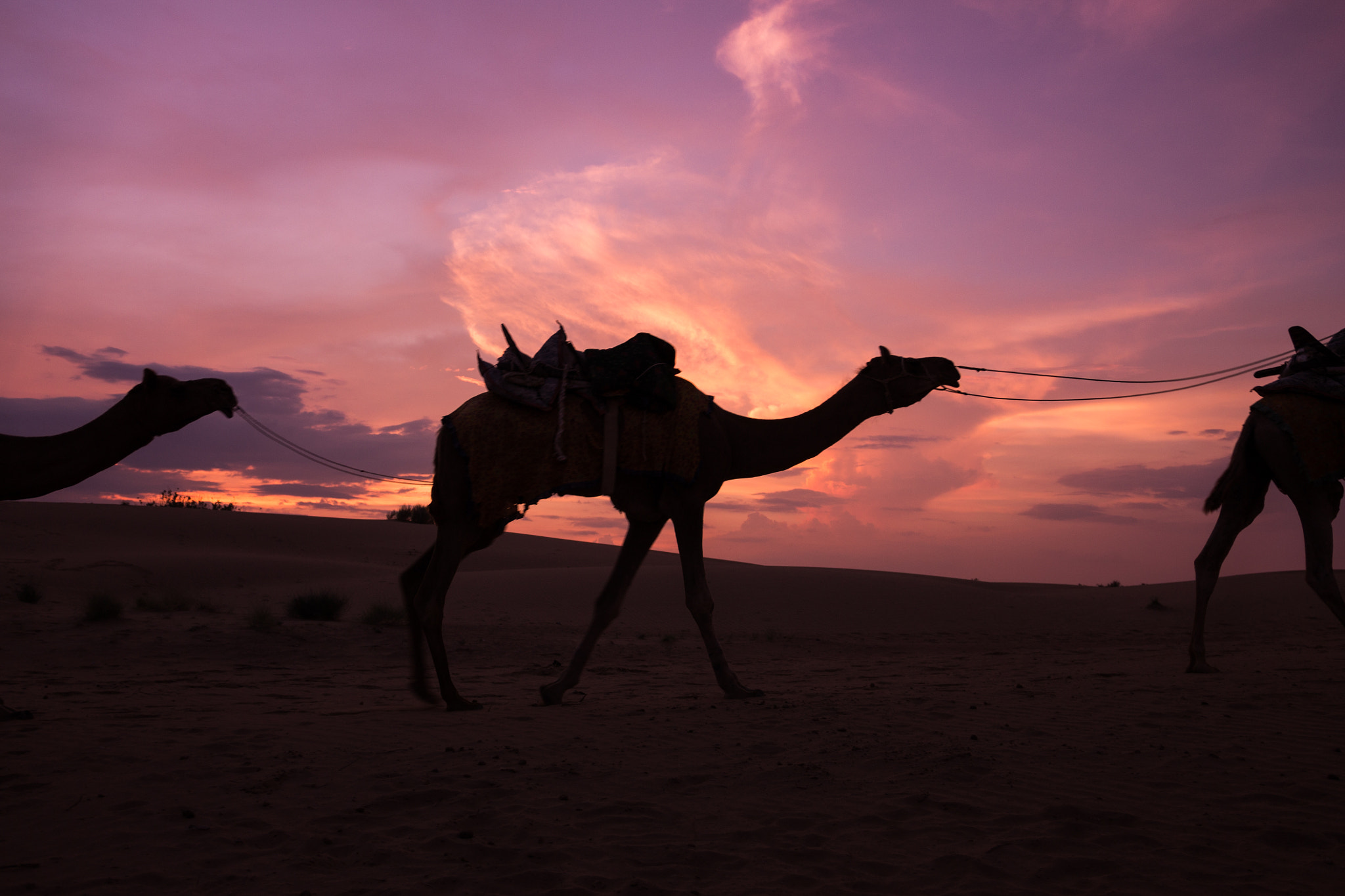 Sigma 17-70mm F2.8-4 DC Macro OS HSM sample photo. Desert photography