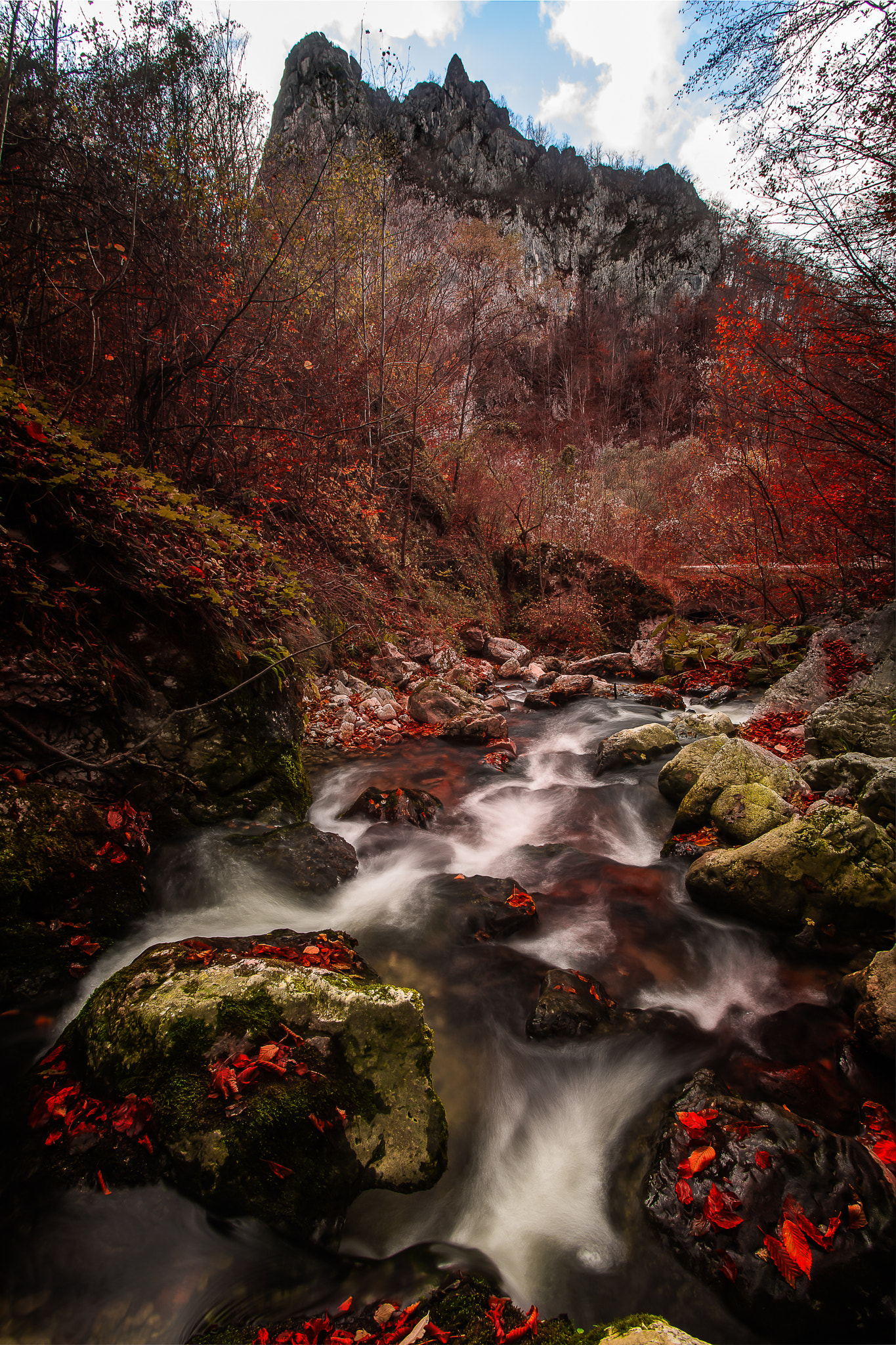 Sony a7 + Canon EF 17-40mm F4L USM sample photo. Beautiful point of view  photography