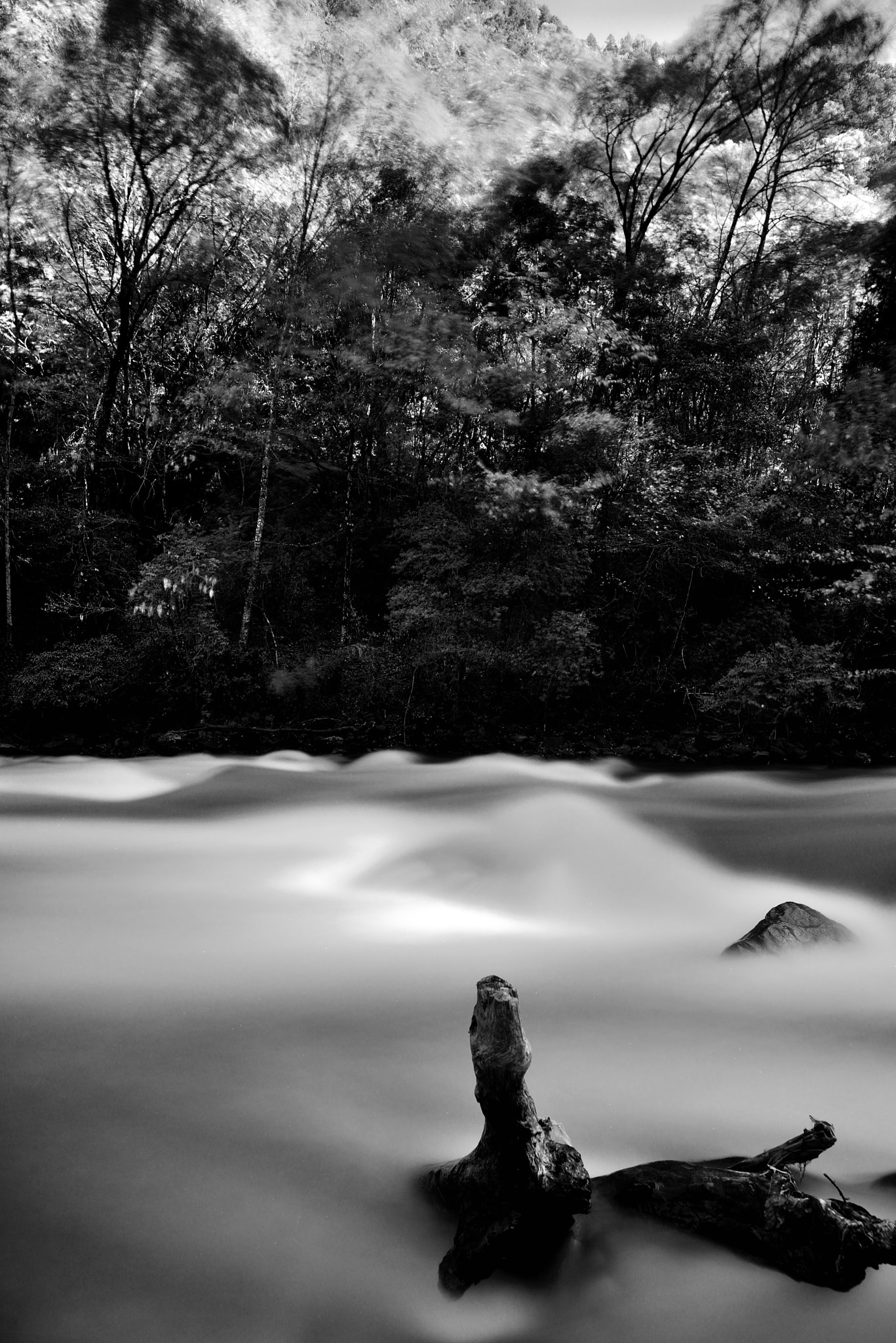 Nikon D800 sample photo. Ads photography