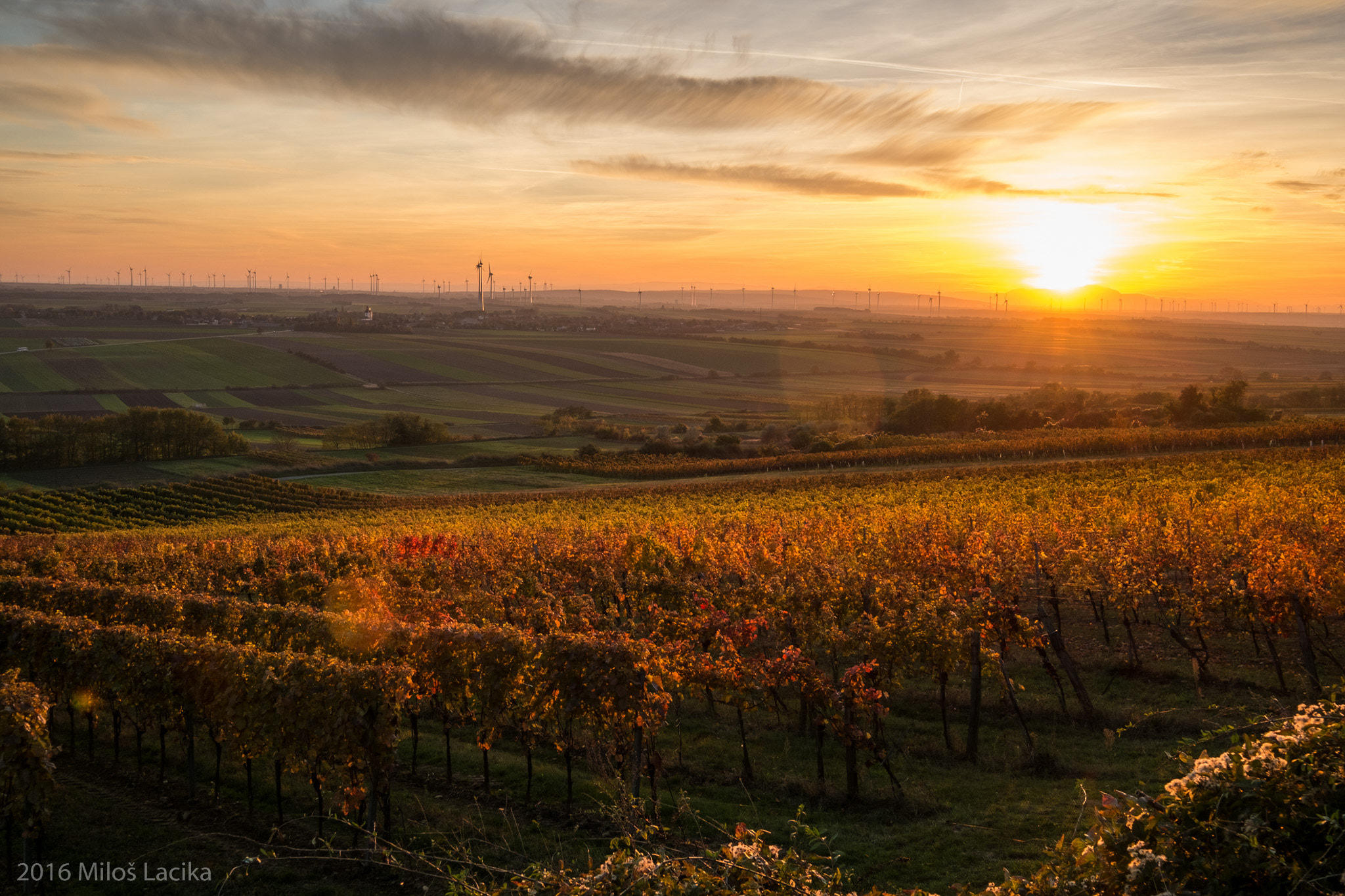 Fujifilm XF 10-24mm F4 R OIS sample photo. Sunset in burgenland photography