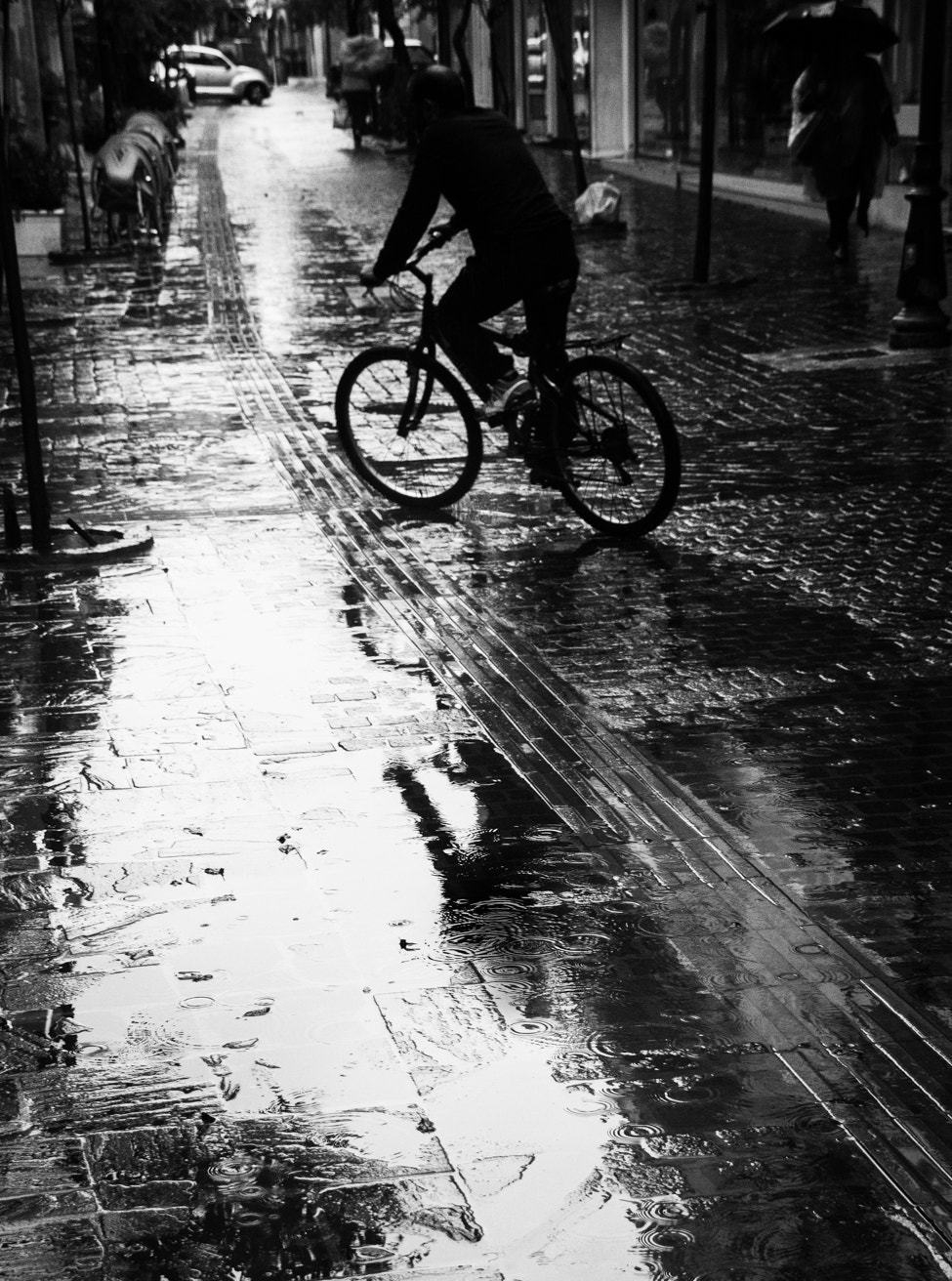 Sigma 18-250mm F3.5-6.3 DC OS HSM sample photo. In the rain photography