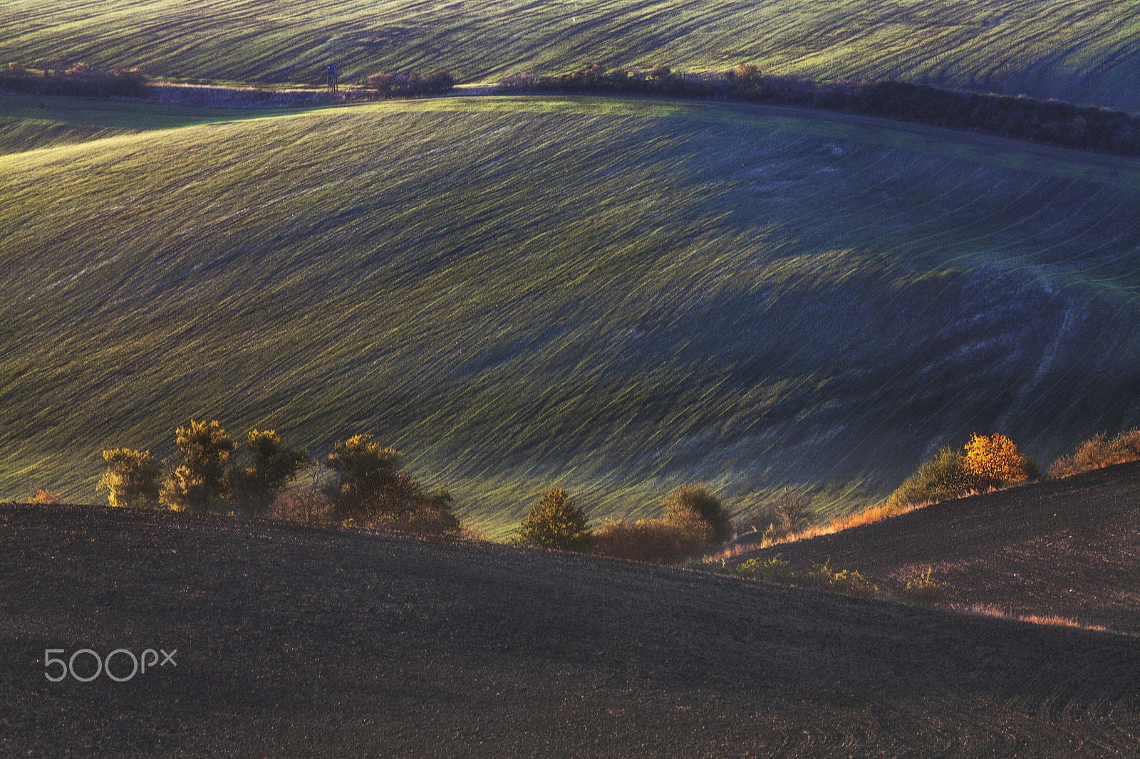 Canon EOS 5D Mark II + Canon EF 70-200mm F2.8L IS USM sample photo. Curves and lines photography