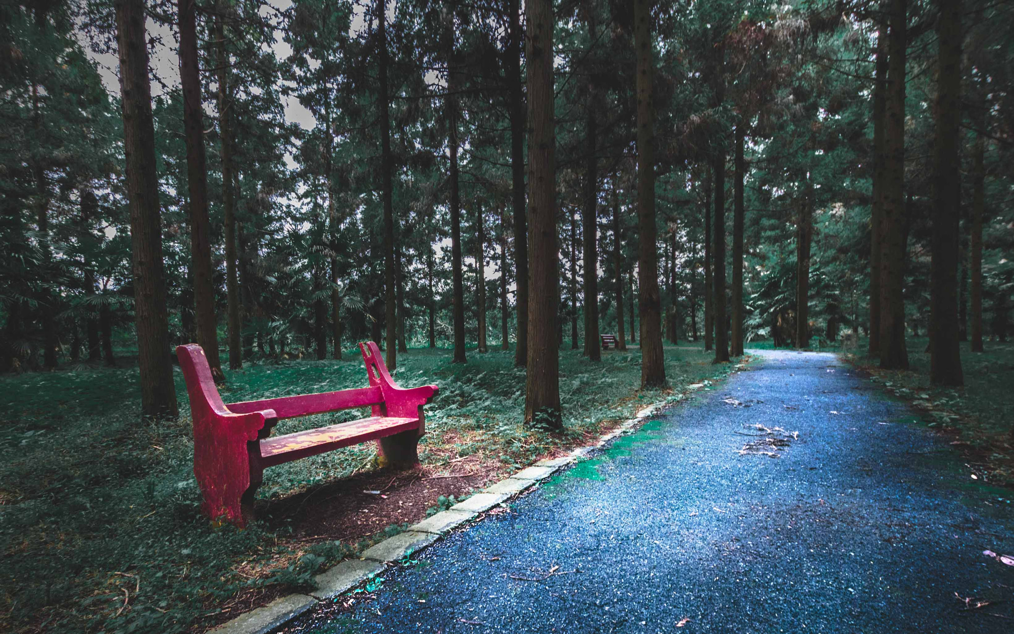Sigma 10-20mm F3.5 EX DC HSM sample photo. Seat photography