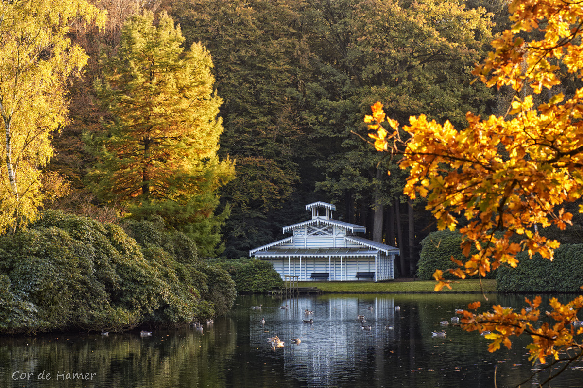 Sony SLT-A77 + Tamron SP AF 90mm F2.8 Di Macro sample photo. Royal bathhouse in autumn photography