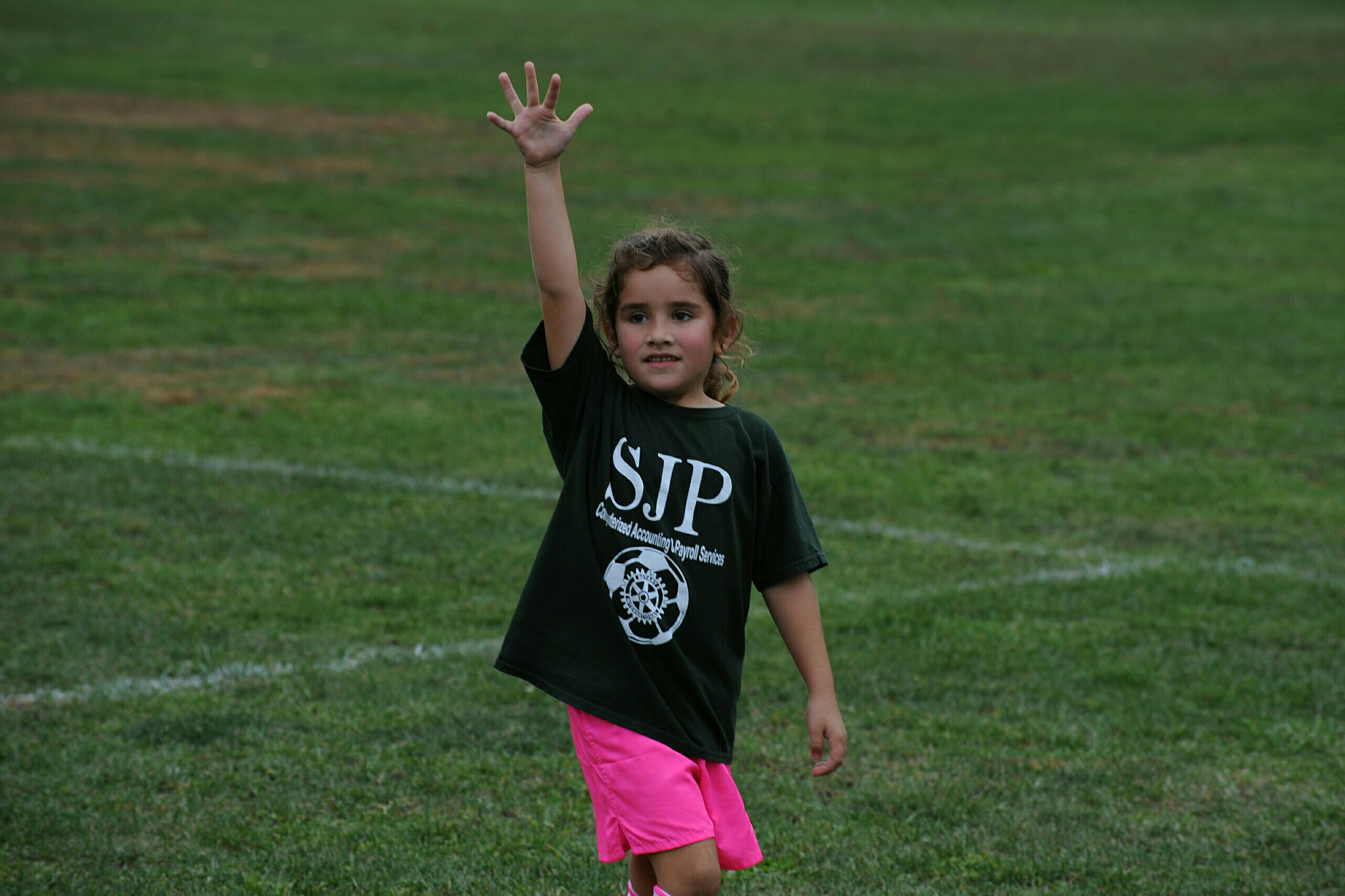 Nikon D3 sample photo. Sis photography