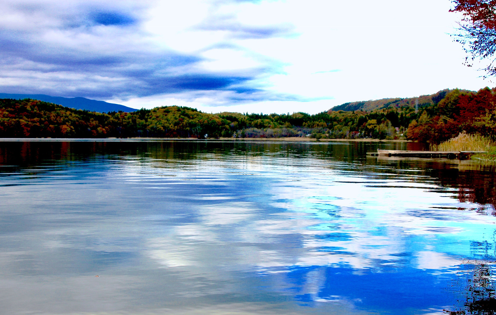 Canon EOS 600D (Rebel EOS T3i / EOS Kiss X5) sample photo. Dissolved in blue photography