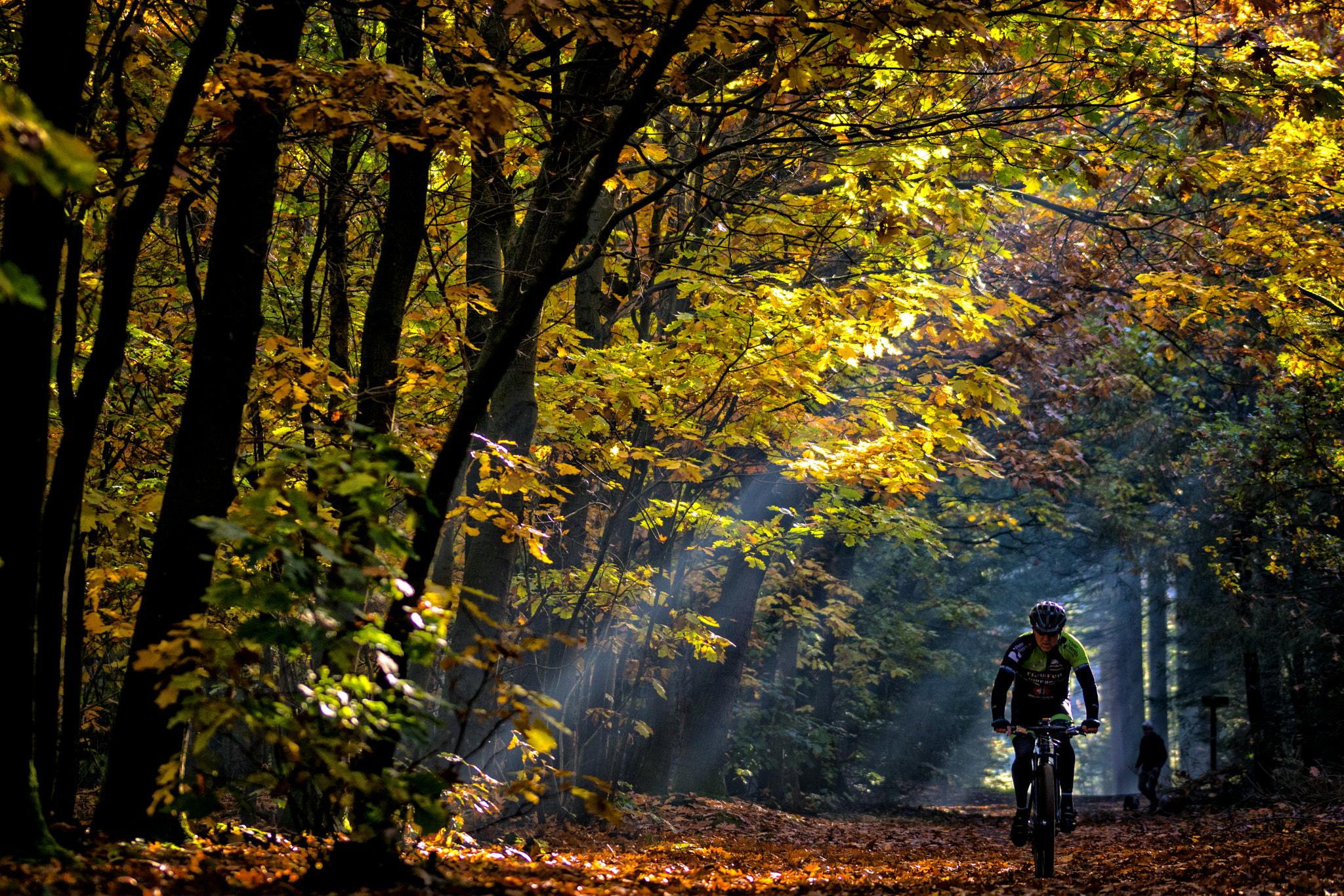 Sony ILCA-77M2 + 105mm F2.8 sample photo. Early morning ride photography