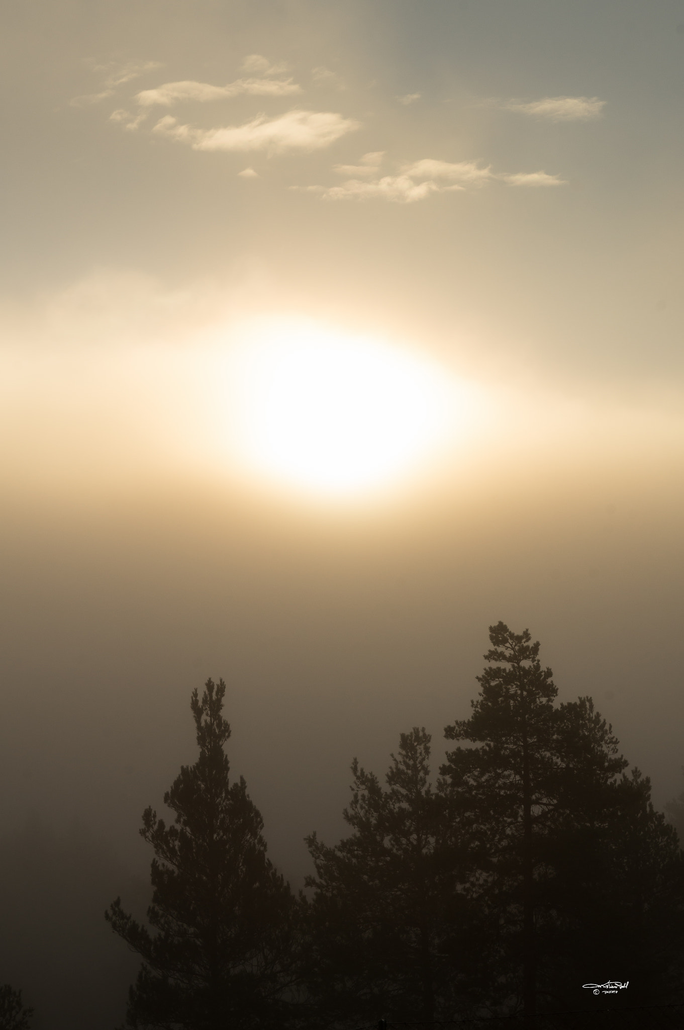 Sony SLT-A57 + Sony DT 50mm F1.8 SAM sample photo. Dense morning photography