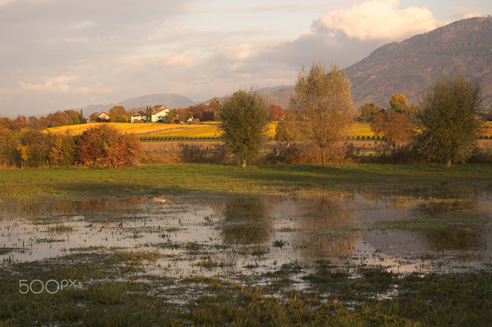 Canon EOS 50D sample photo. Promenade en campagne genevoise photography