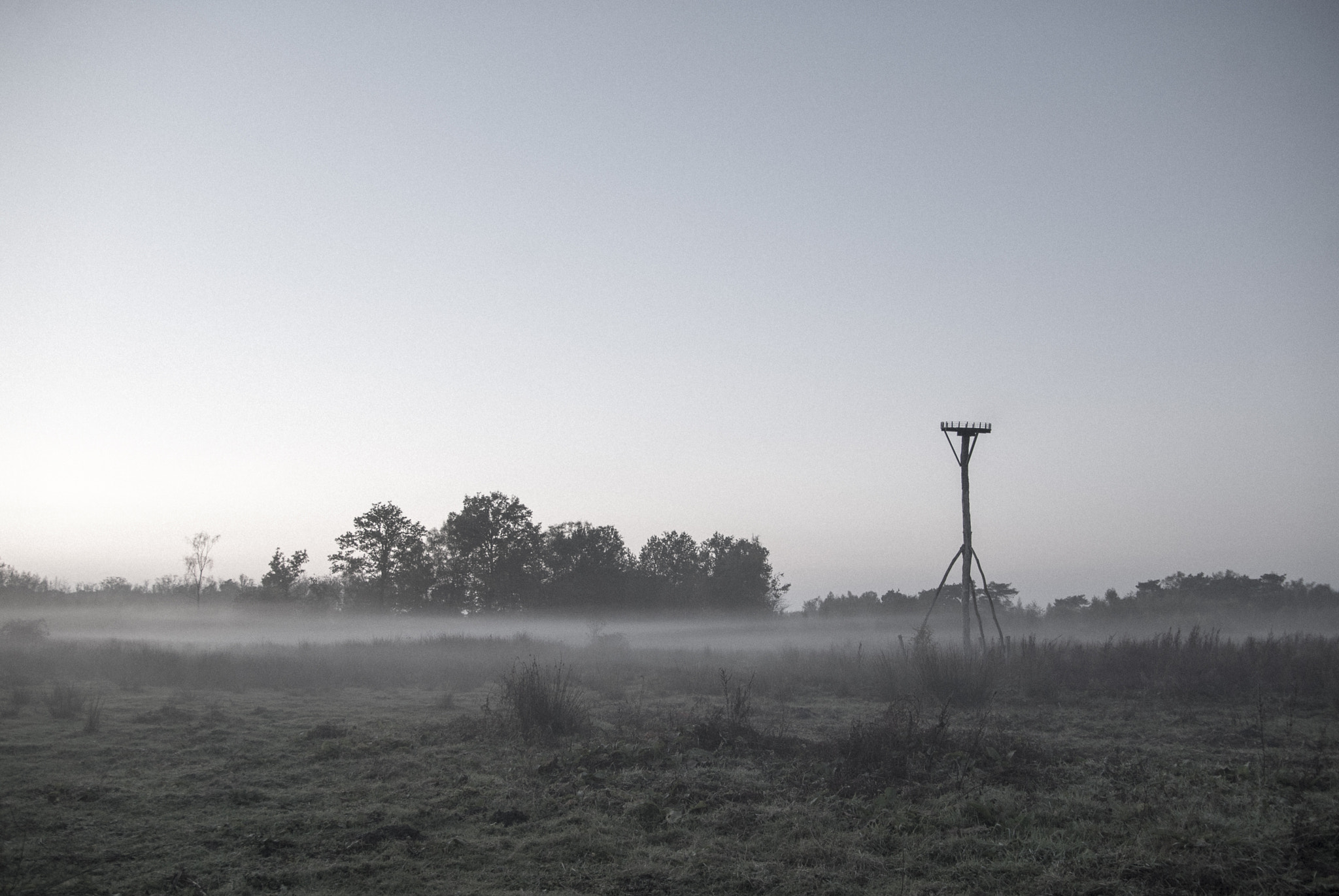 Nikon D200 + Sigma 18-50mm F2.8 EX DC sample photo. Stork nest photography