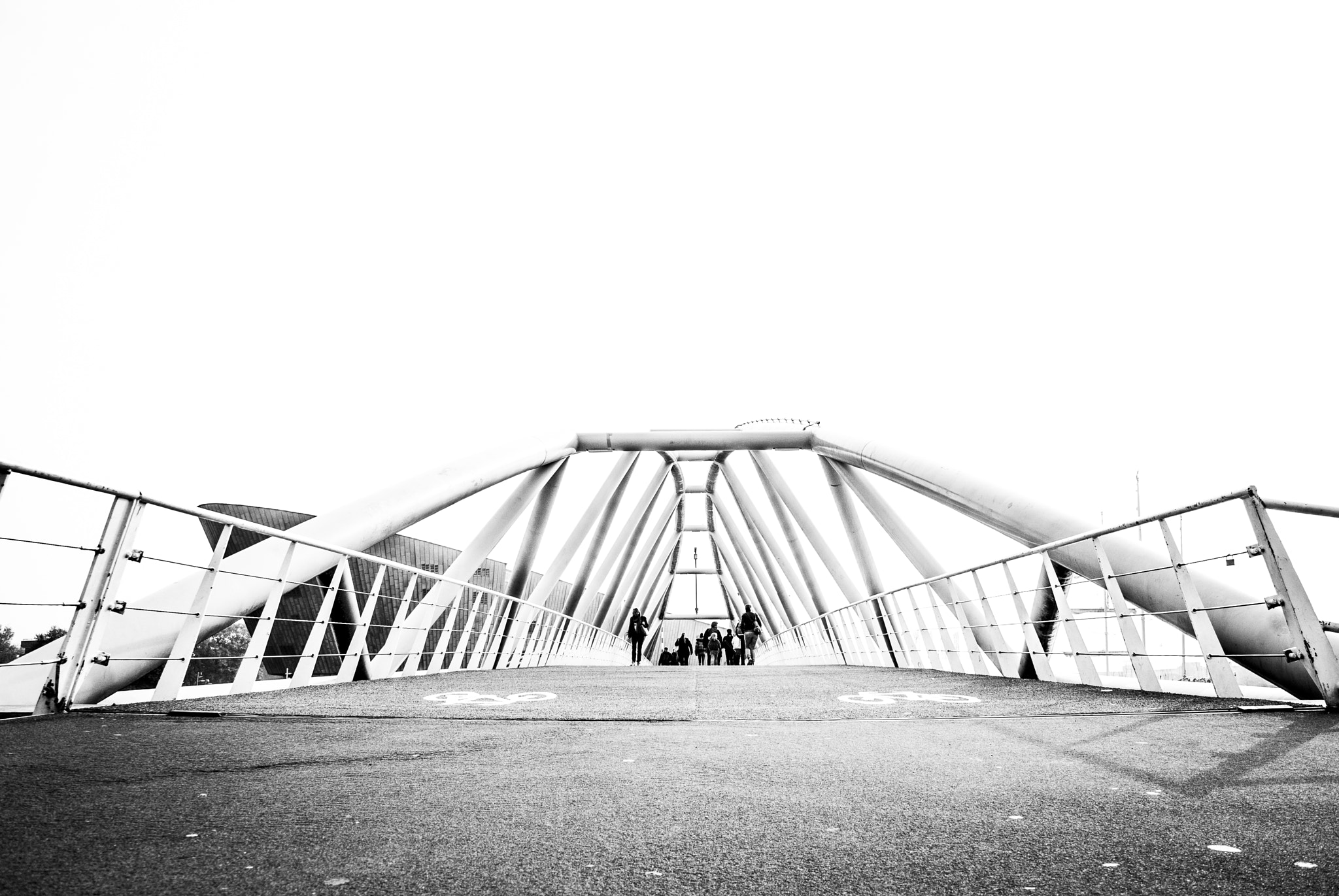 Sigma 18-50mm F2.8 EX DC sample photo. Bridge to nemo photography