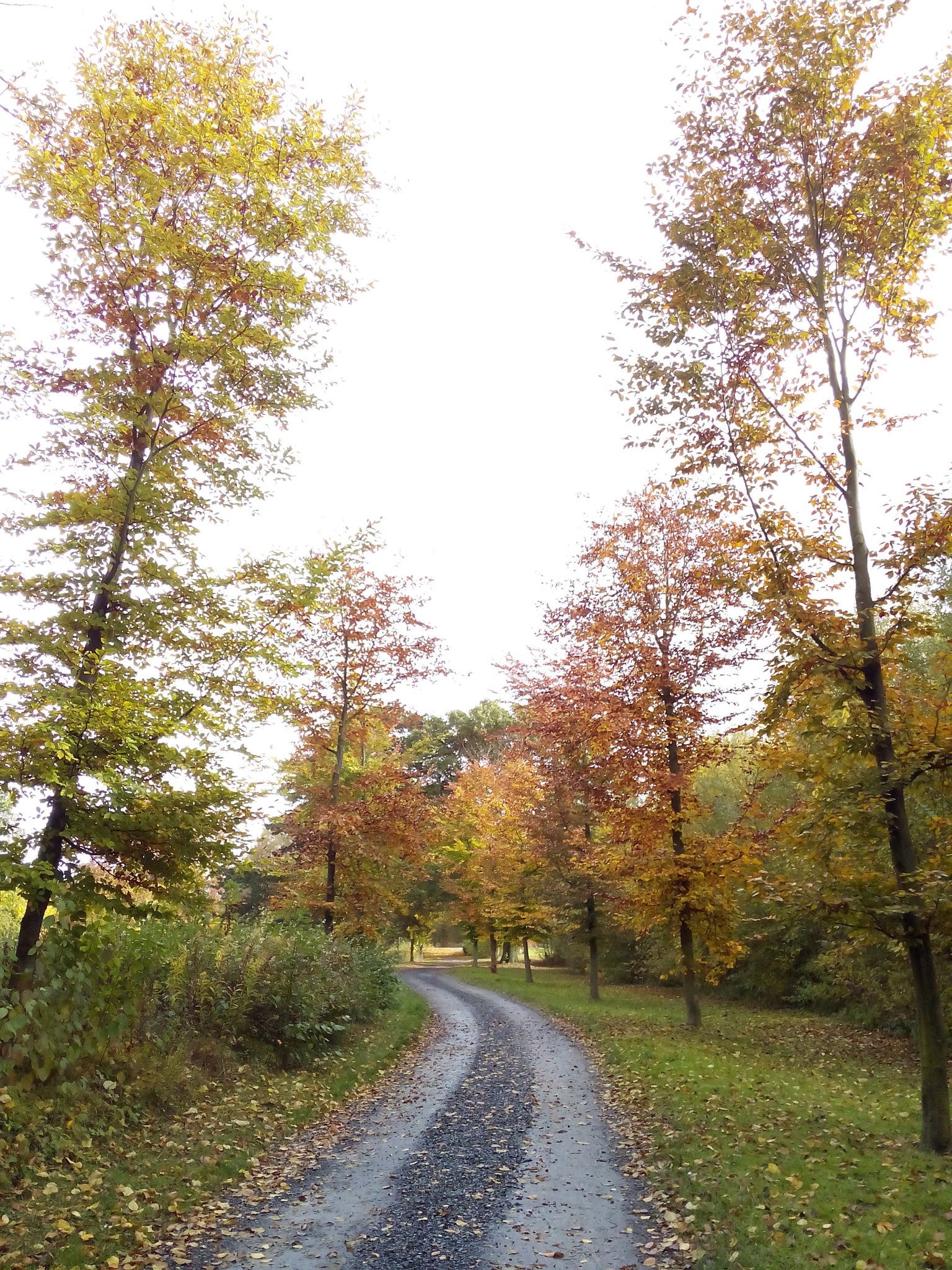 HUAWEI Hol-U19 sample photo