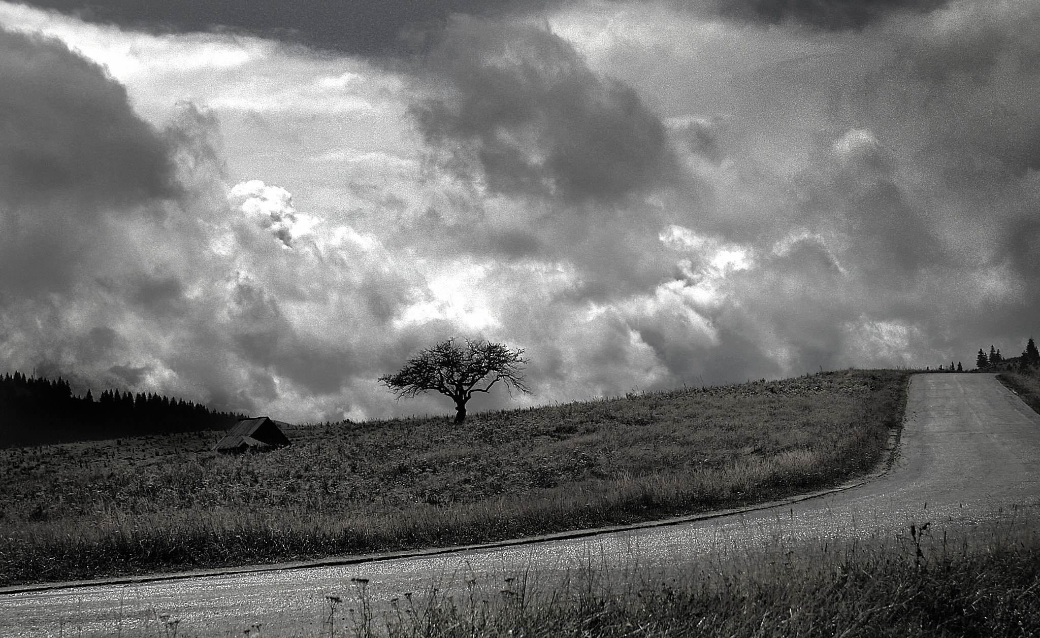 KONICA MINOLTA DYNAX 5D sample photo. The storm is comming photography