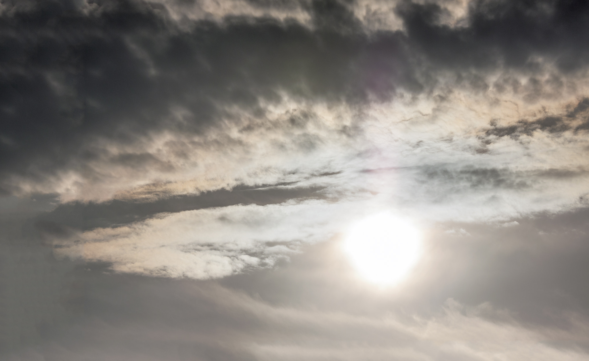 Tamron SP 150-600mm F5-6.3 Di VC USD sample photo. Good morning, sunshine !! photography