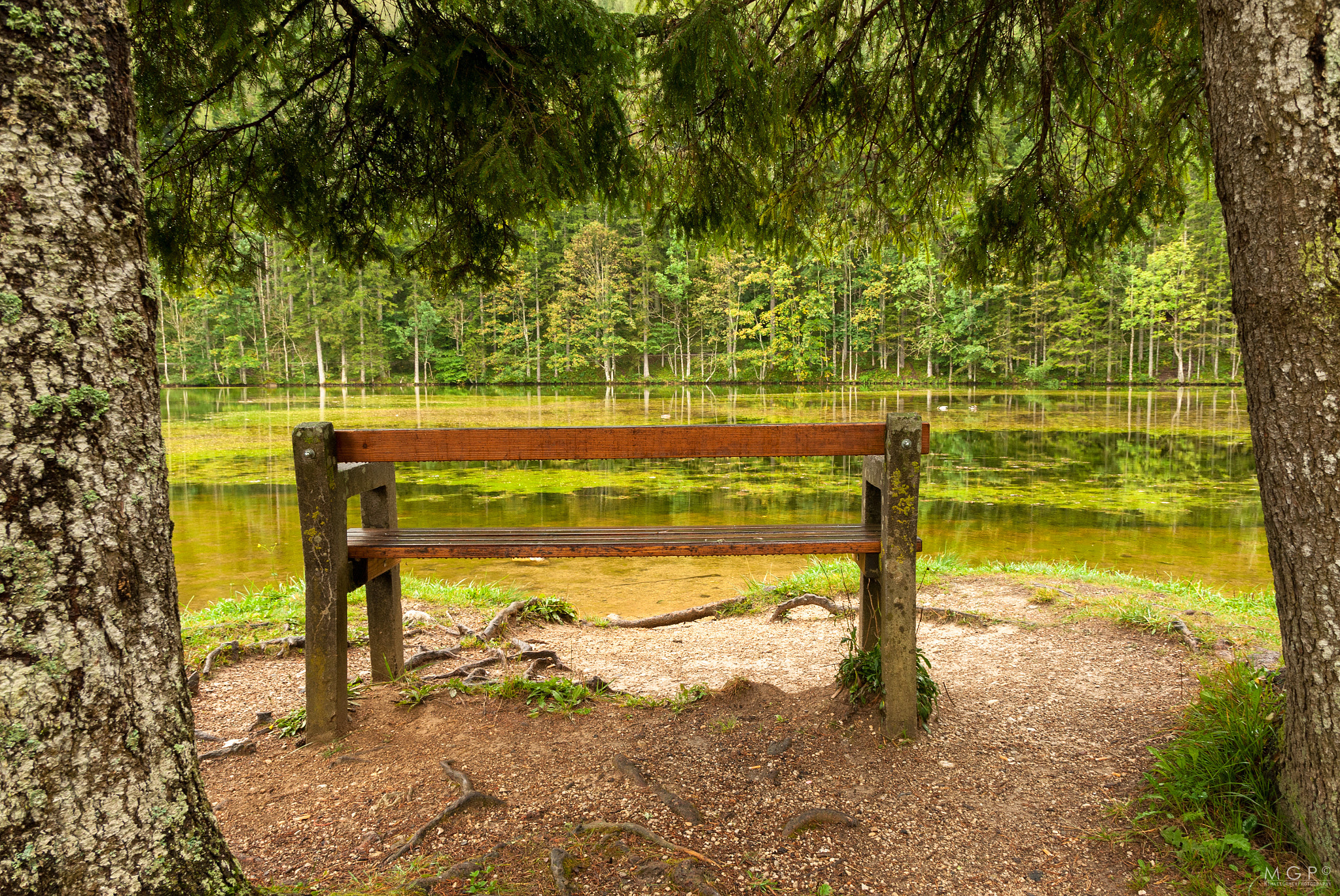 Sigma 17-50mm F2.8 EX DC OS HSM sample photo. Lonely bench photography