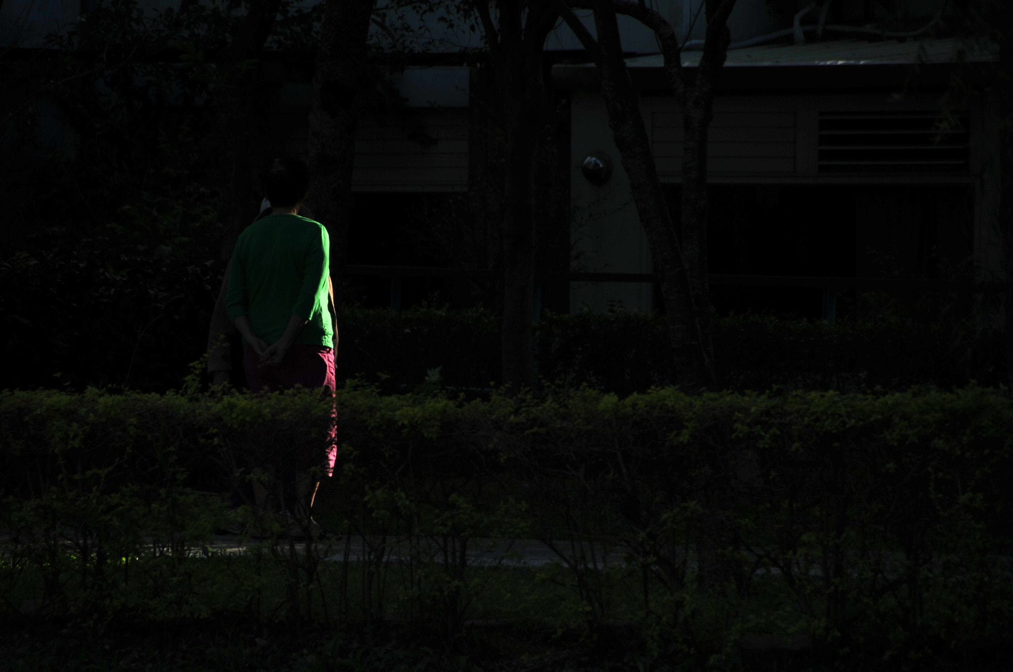 Nikon D3S sample photo. .. photography