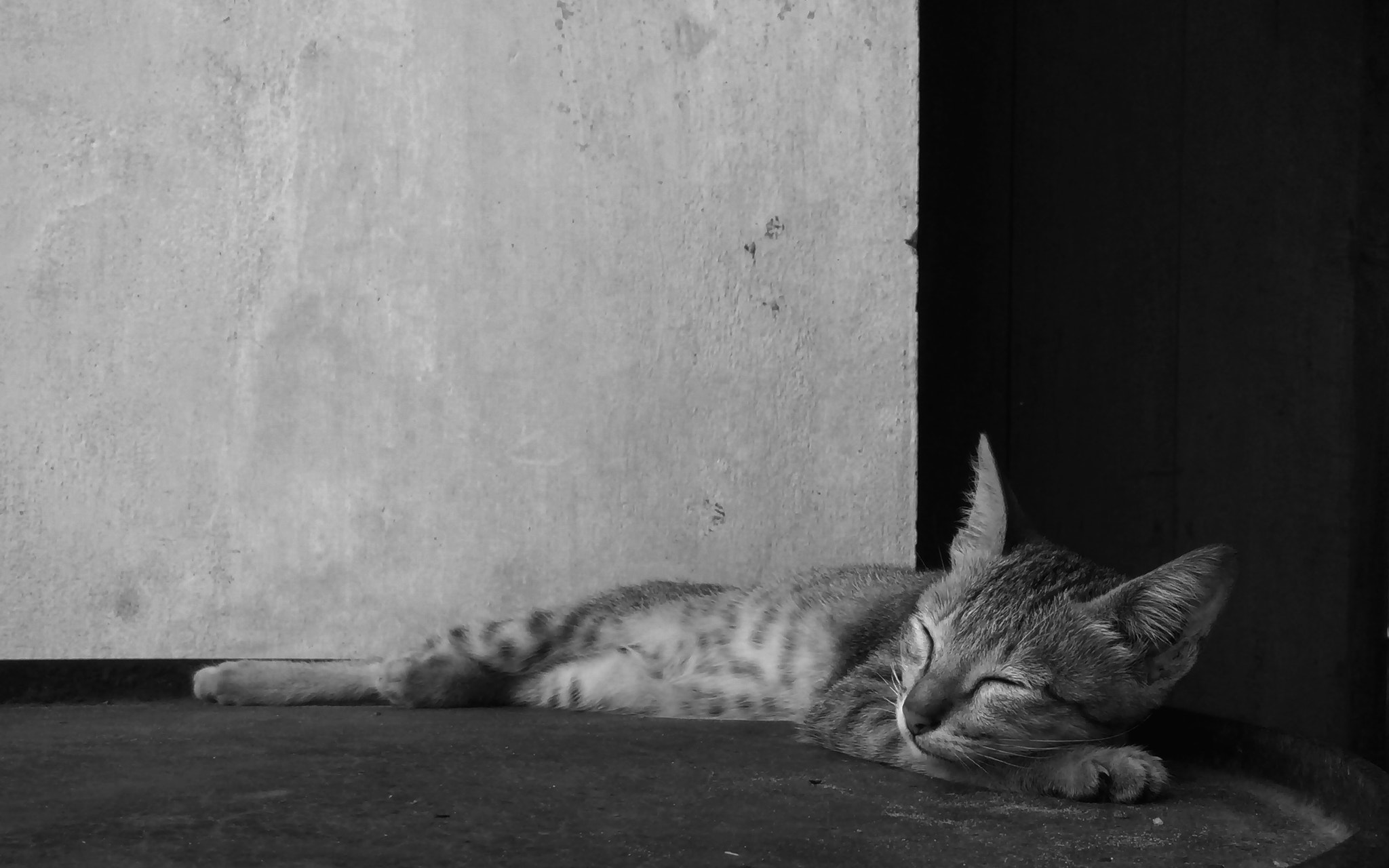 OPPO 1201 sample photo. Tranquility photography
