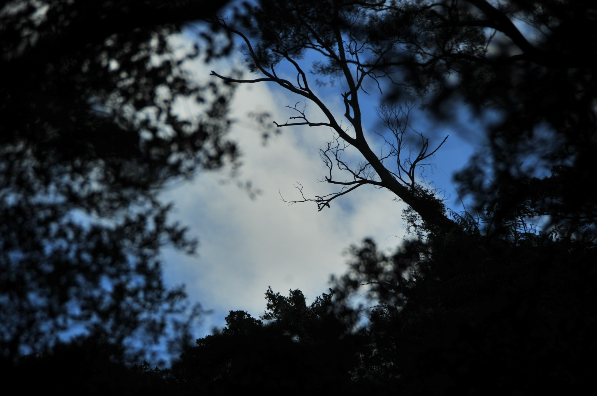 Nikon D3S sample photo. .. photography
