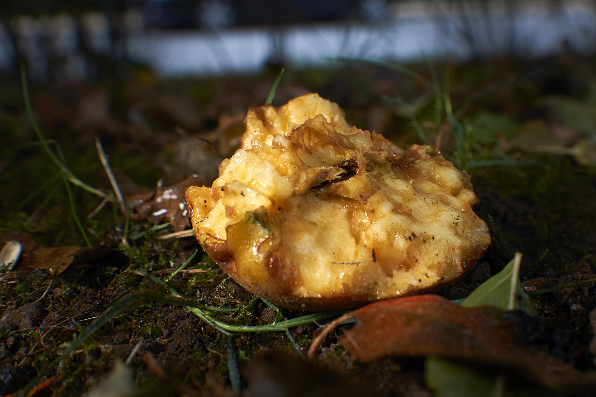 Sony SLT-A77 + Sony DT 35mm F1.8 SAM sample photo. Dsc photography