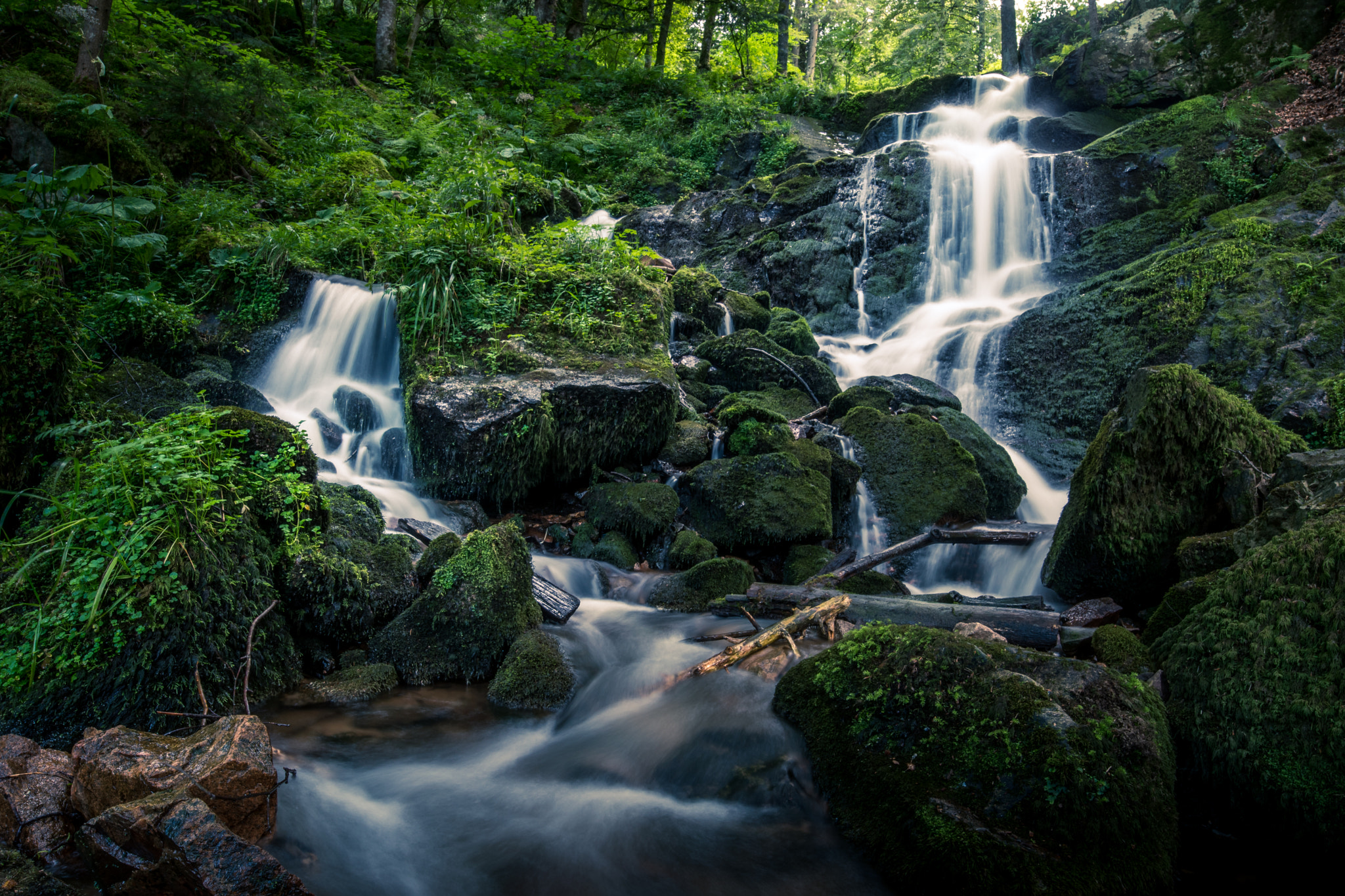 Samyang 14mm F2.8 ED AS IF UMC sample photo. Cascade du serva en alsace photography
