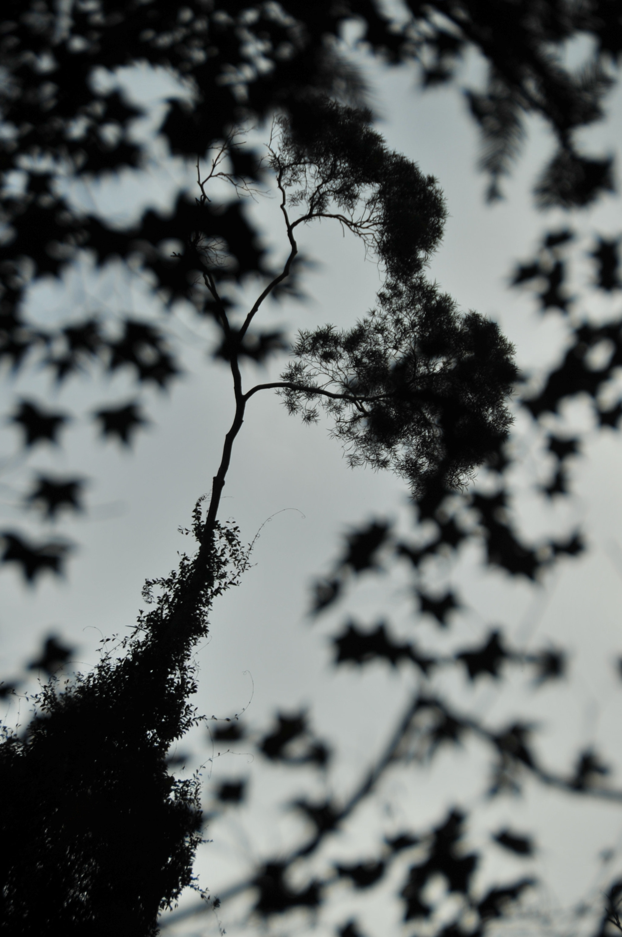 Nikon D3S sample photo. .. photography