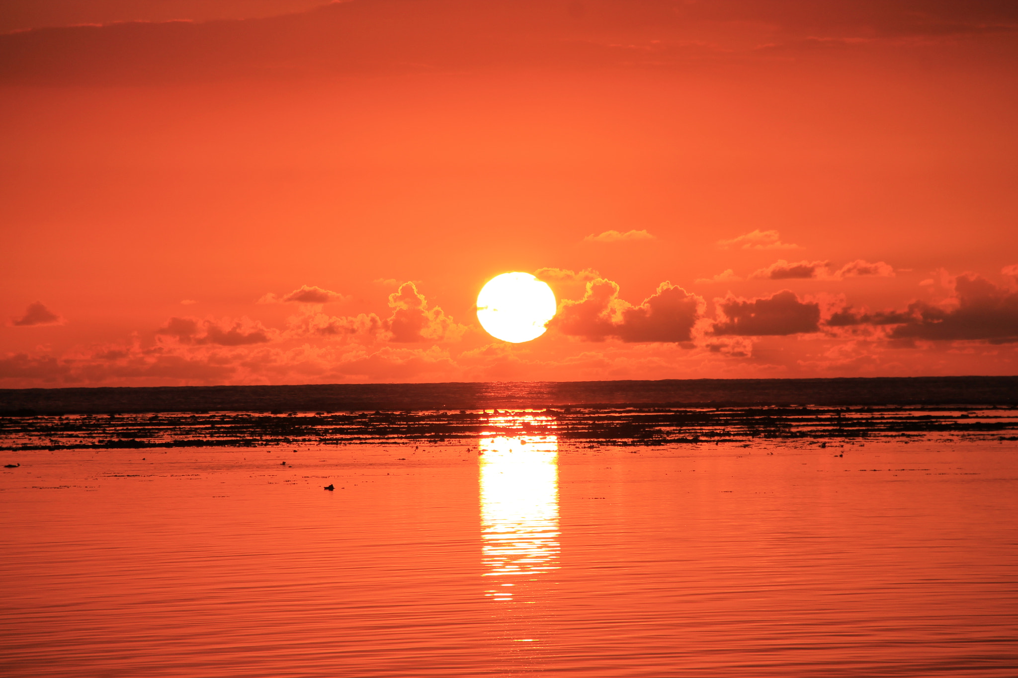 Sigma 18-250mm F3.5-6.3 DC OS HSM sample photo. The sky is on fire photography