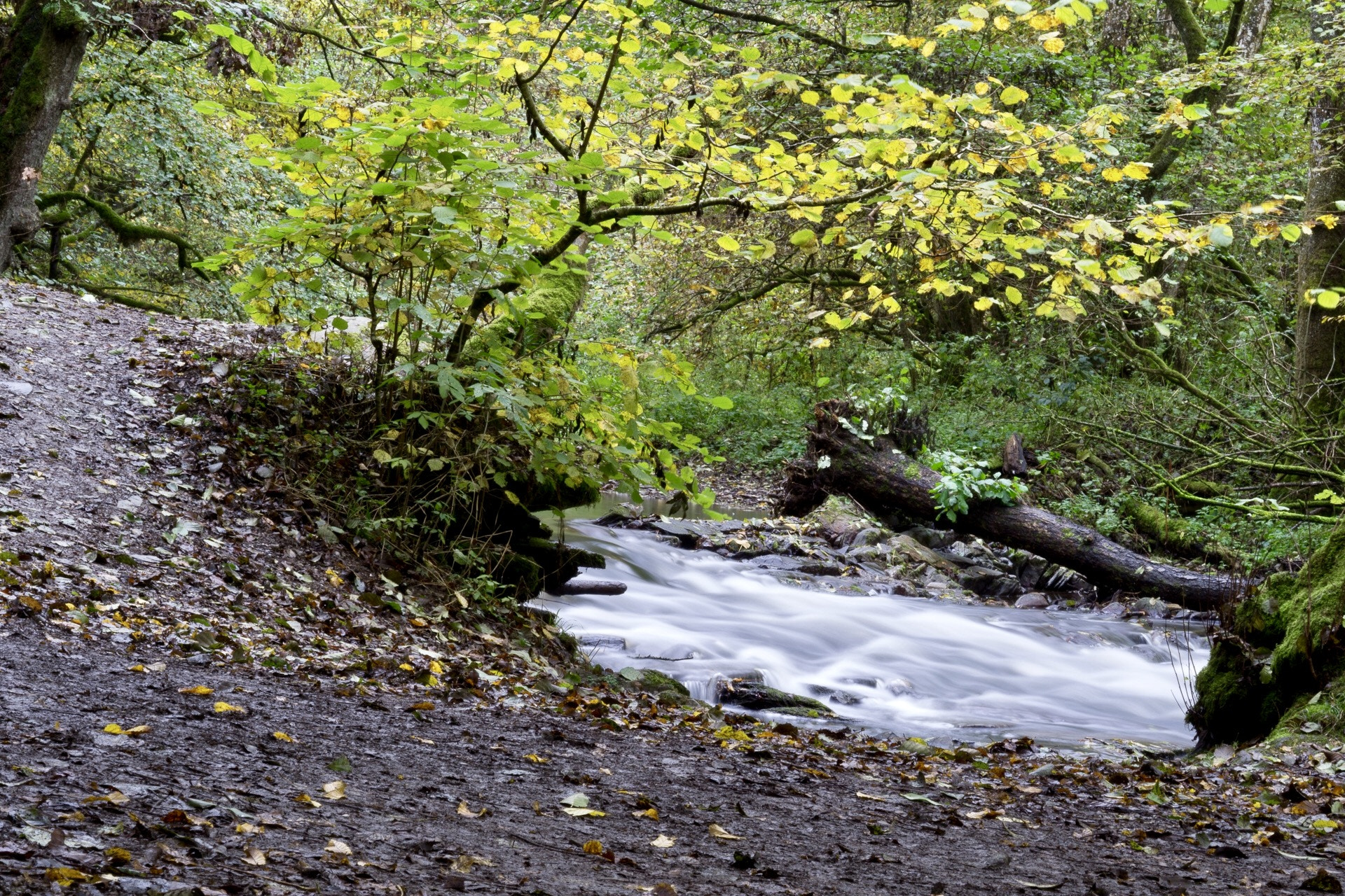 Sony a6000 sample photo. Trail to eltz castle photography