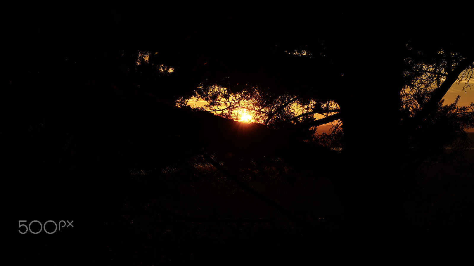 Sony a7R II + Sony Vario Tessar T* FE 24-70mm F4 ZA OSS sample photo. Hide & seek - bellevue sunset photography