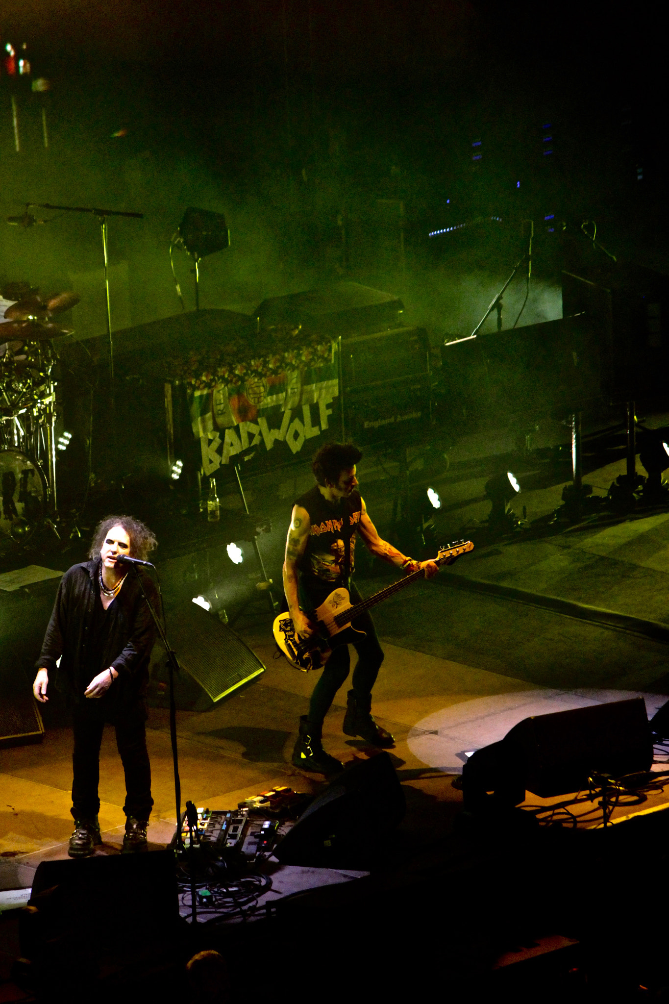 Canon EF-S 55-250mm F4-5.6 IS sample photo. The cure, 2 novembre 2016, forum d' assago. photography