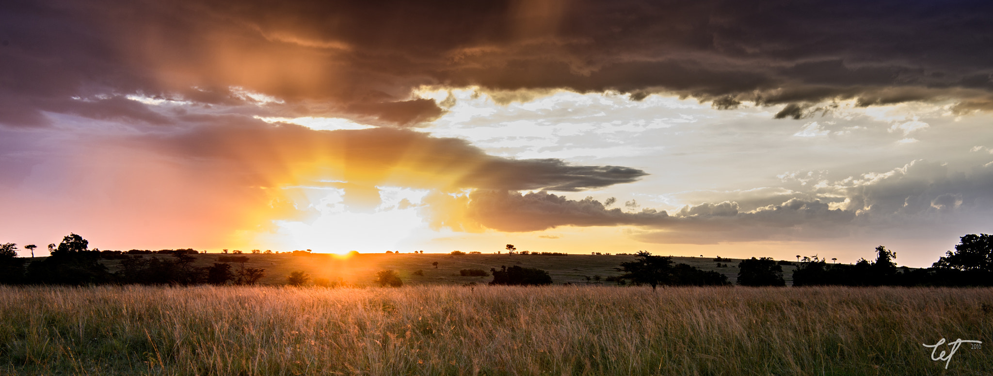 Nikon AF-S Nikkor 24-70mm F2.8E ED VR sample photo. Sunset at mara plains photography
