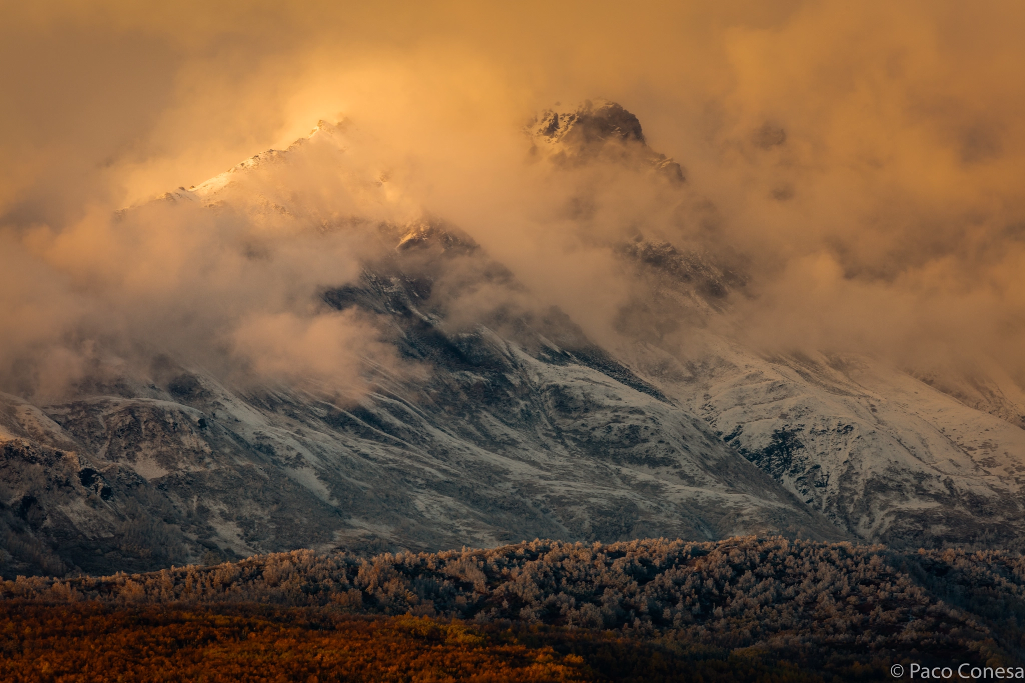 Canon EF 200-400mm F4L IS USM Extender 1.4x sample photo. Lights in the summit photography