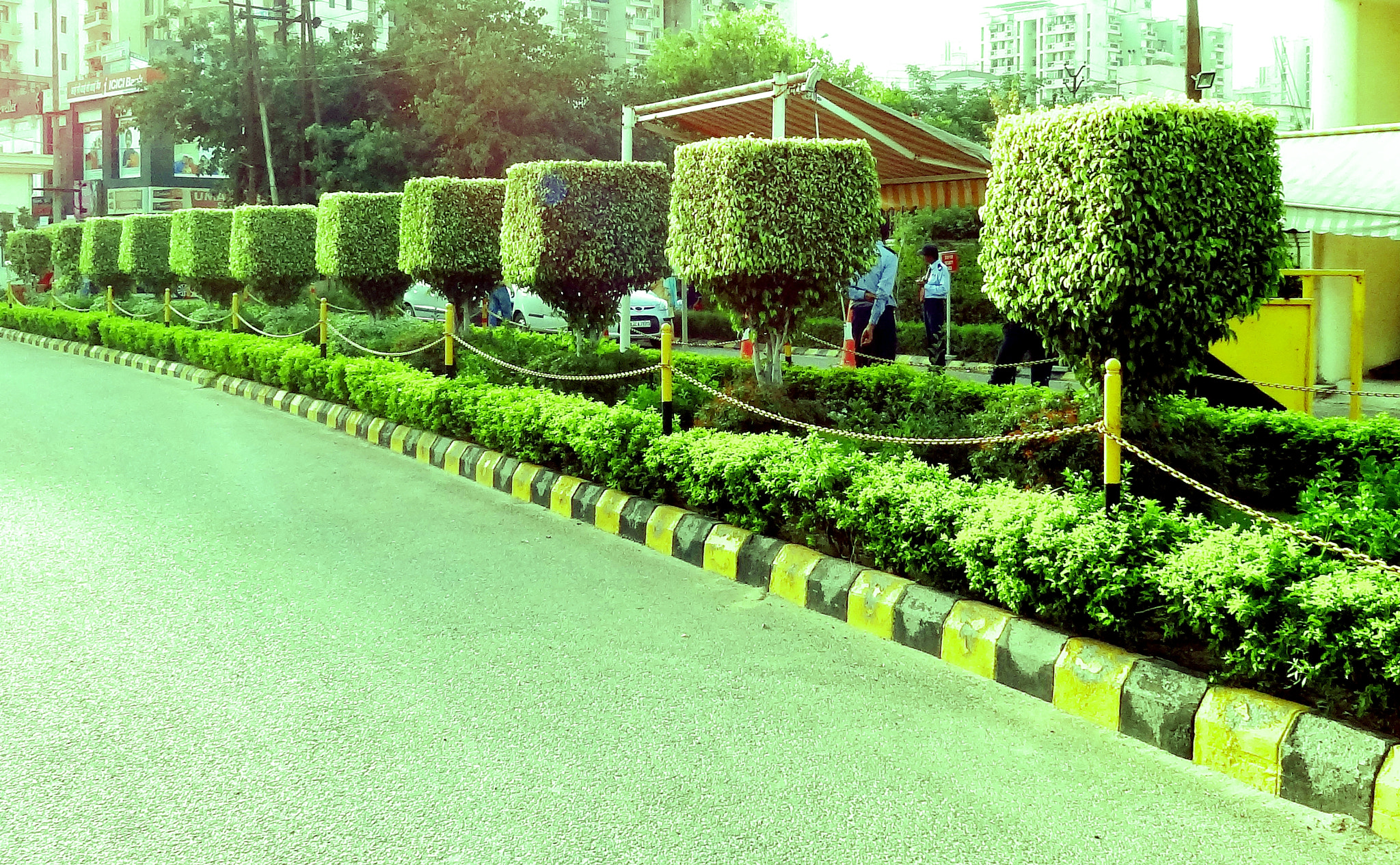 Sony Cyber-shot DSC-HX7V sample photo. Well manicured photography