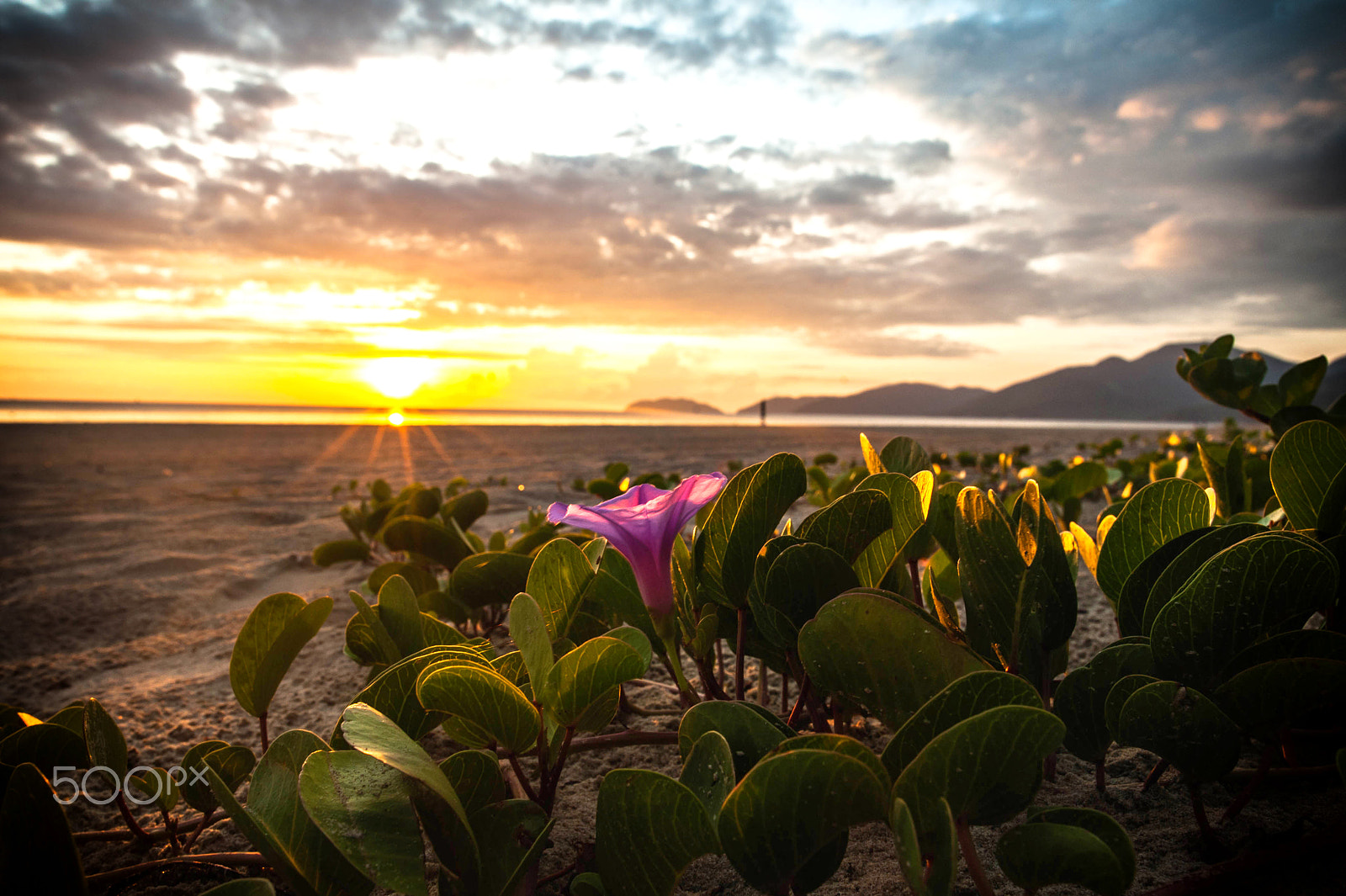 Nikon D700 sample photo. Good morning lang co beach photography