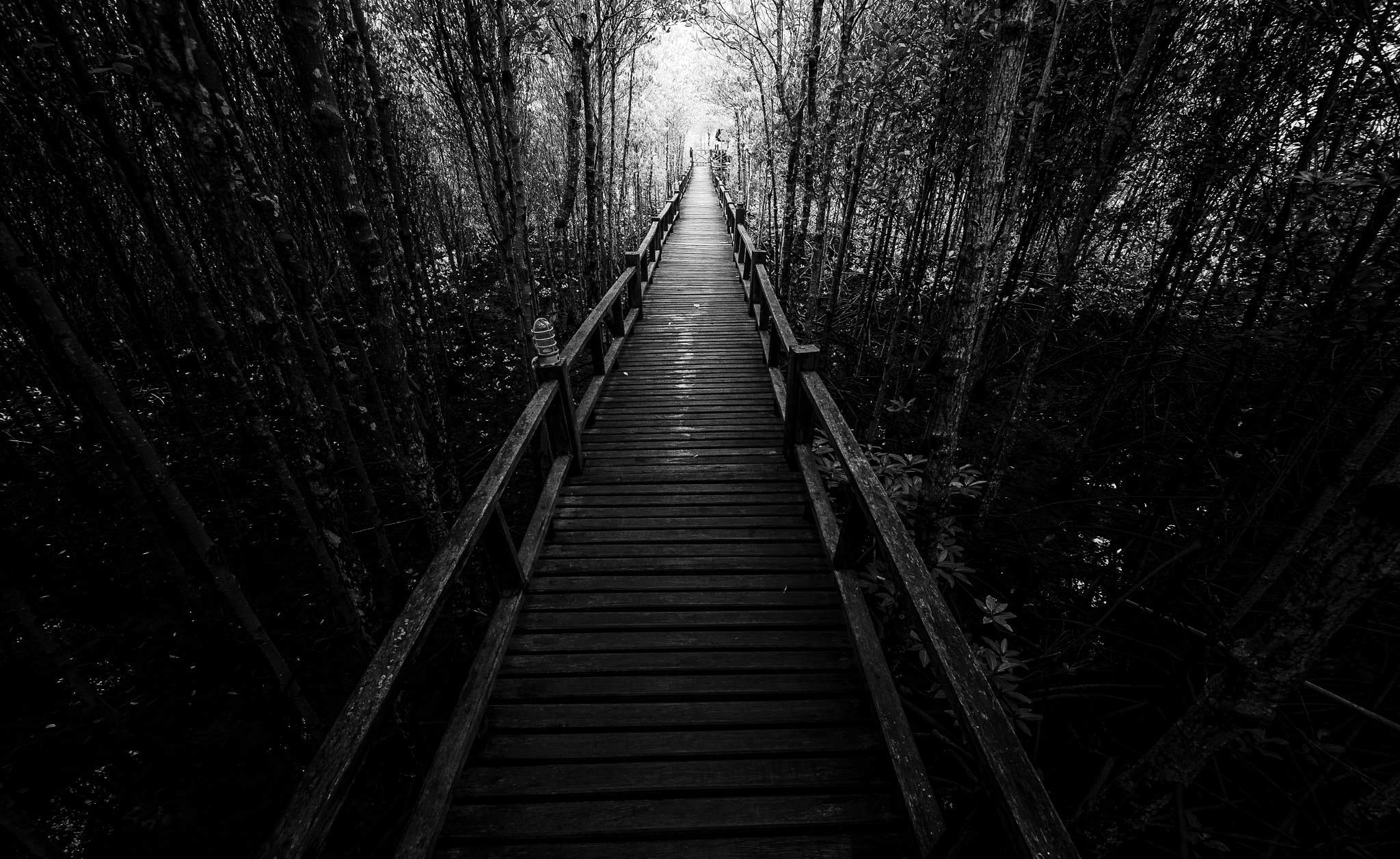 Sigma 8-16mm F4.5-5.6 DC HSM sample photo. Mu ko chumphon photography