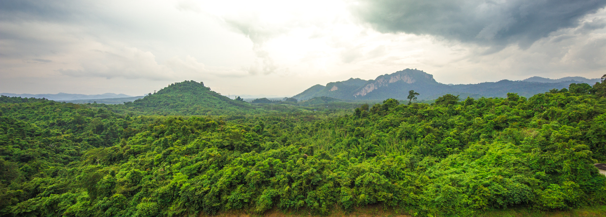 Canon EOS 550D (EOS Rebel T2i / EOS Kiss X4) + Sigma 8-16mm F4.5-5.6 DC HSM sample photo. Khao sok photography