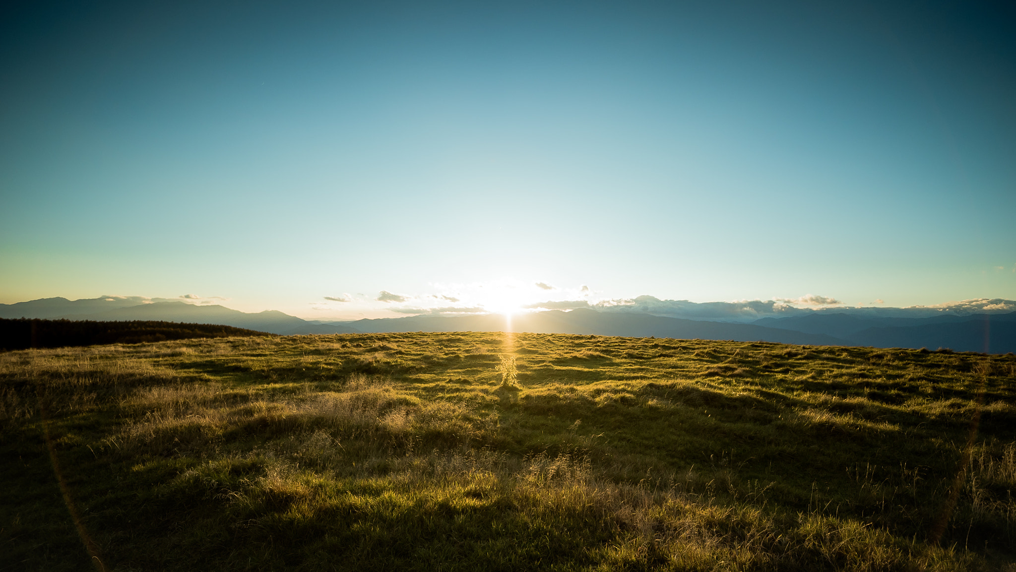 Sony a7S sample photo. A good day photography