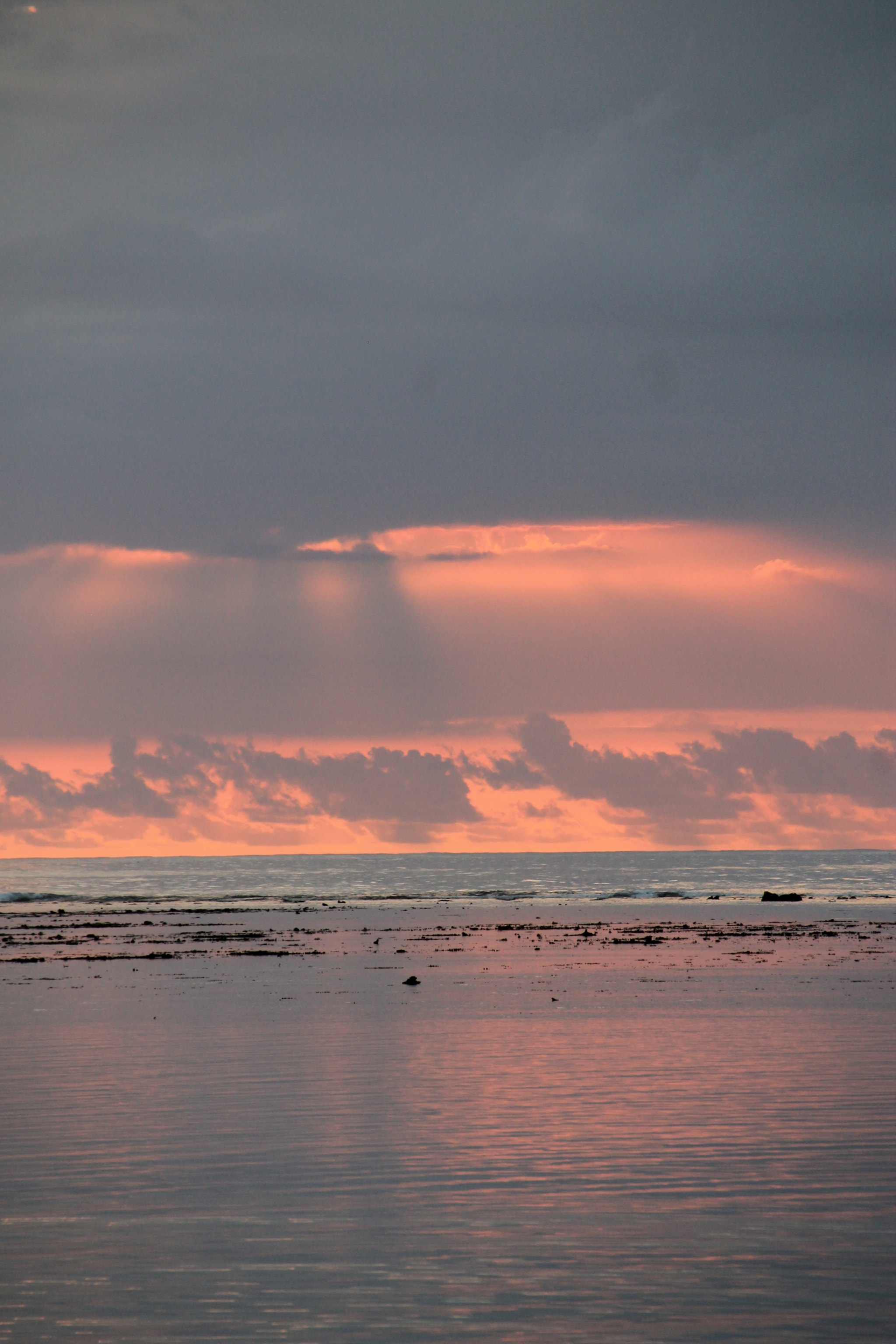 Sigma 18-250mm F3.5-6.3 DC OS HSM sample photo. Pink sky photography