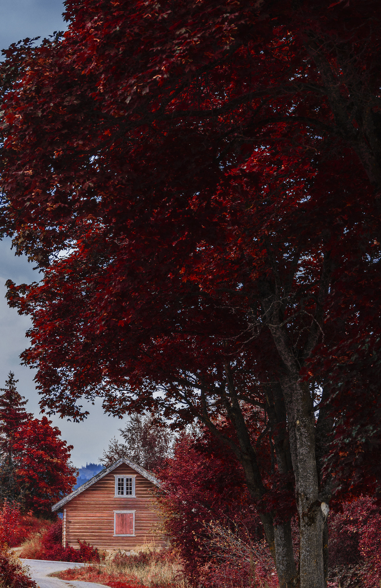Sigma 24-105mm f/4 DG OS HSM | A sample photo. Img photography