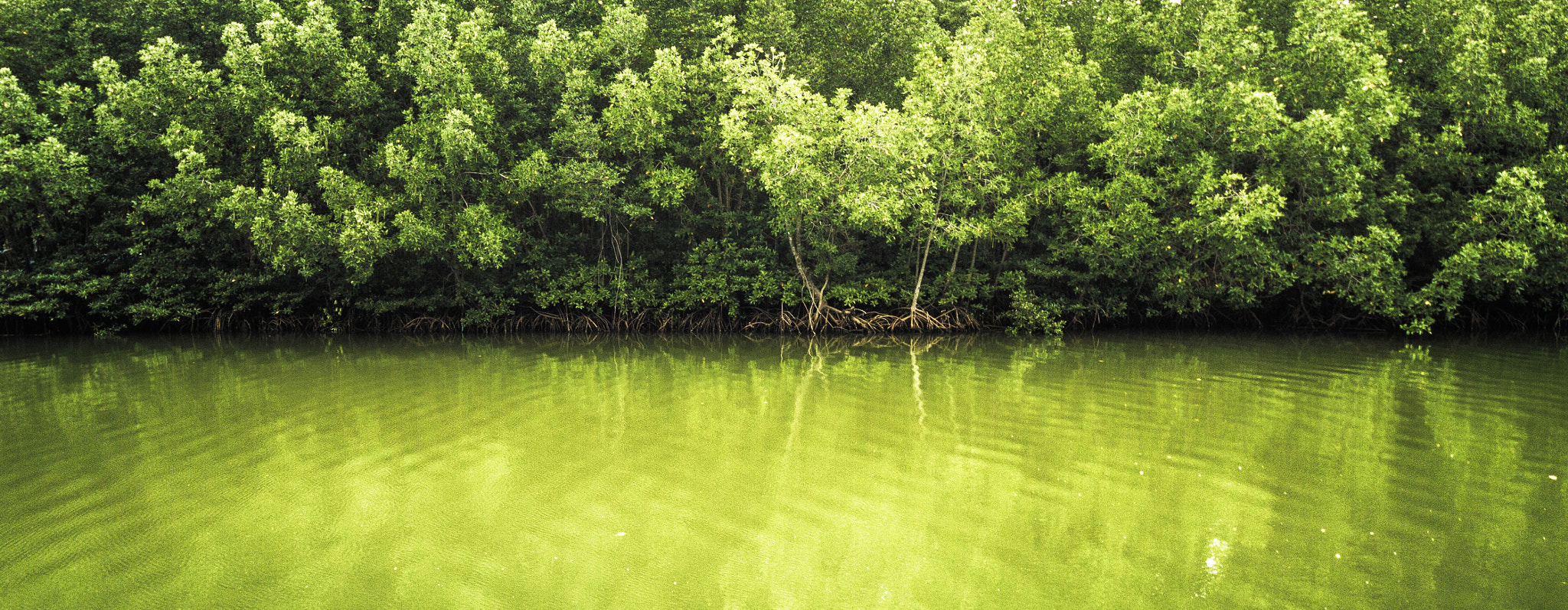 Sigma 8-16mm F4.5-5.6 DC HSM sample photo. Mu ko chumphon photography