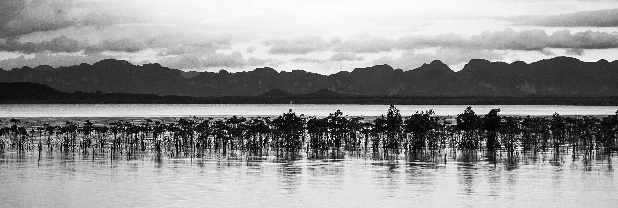 Canon EOS 550D (EOS Rebel T2i / EOS Kiss X4) sample photo. Mu ko chumphon photography