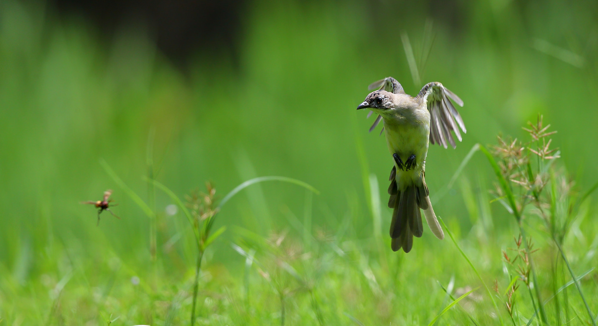 Canon EF 300mm F2.8L IS II USM sample photo. Found photography