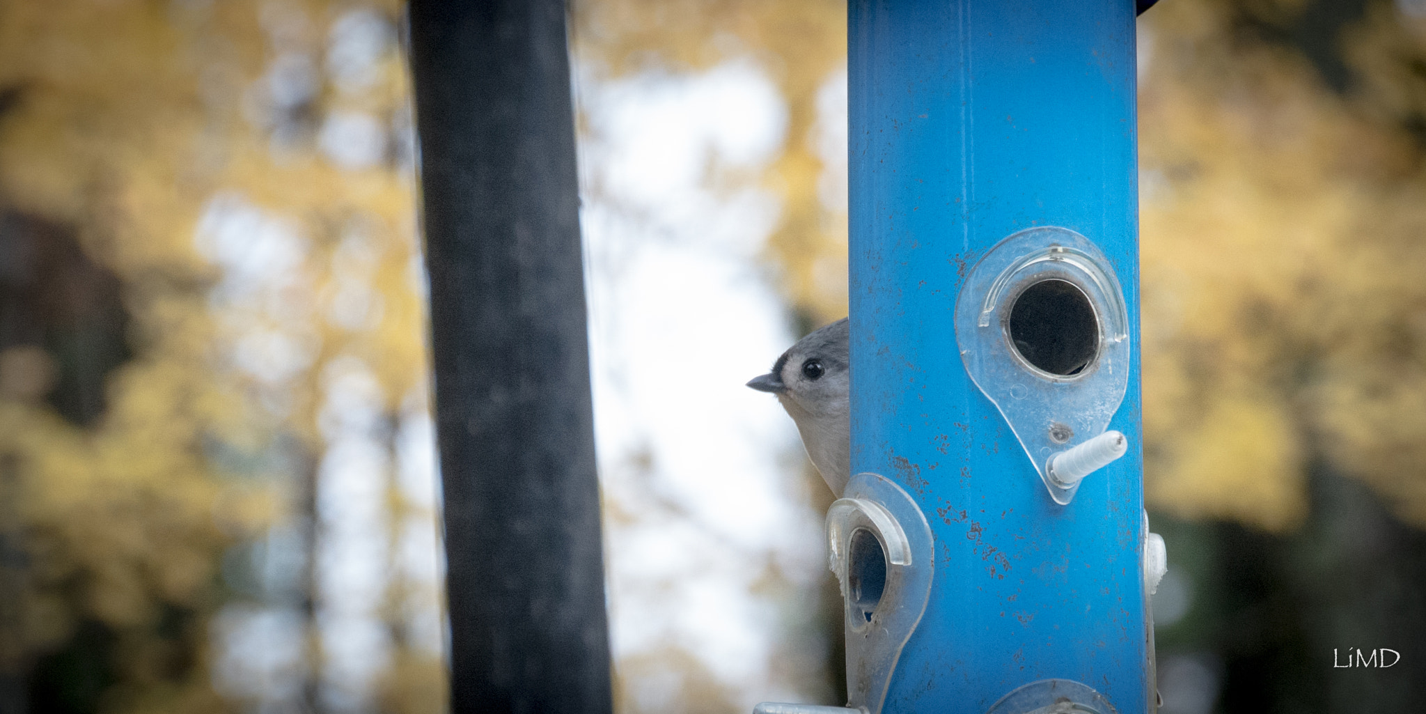 Nikon D600 sample photo. Peek photography